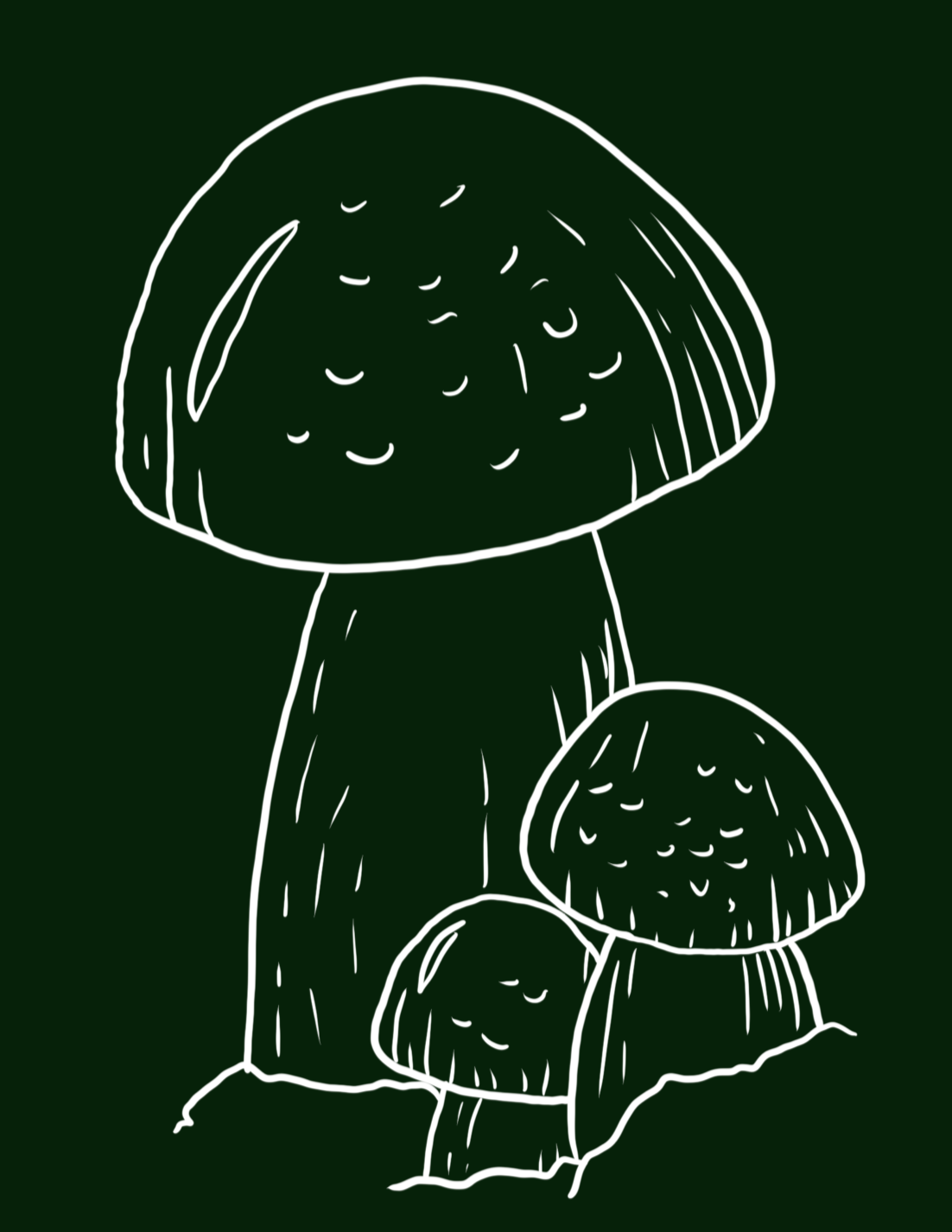 The line art in white of the previous image, also on a dark green background.