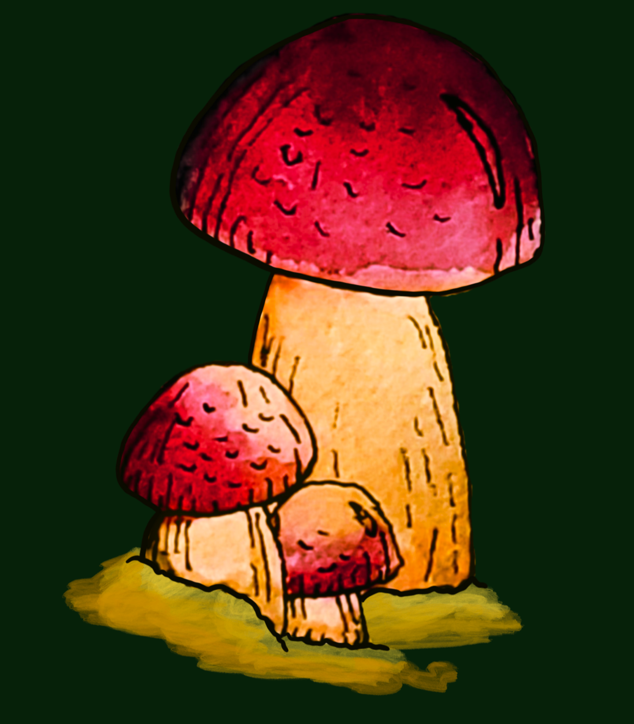 A red botlett style mushroom on a dark green background