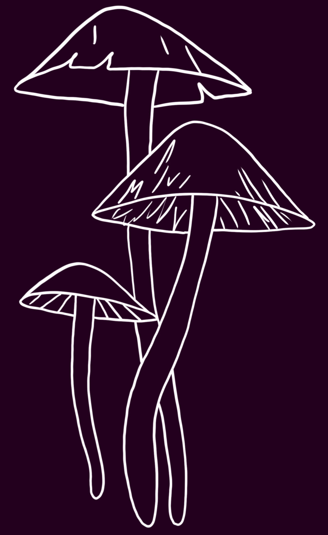 The line art in white of the previous image, also on a dark purple background.