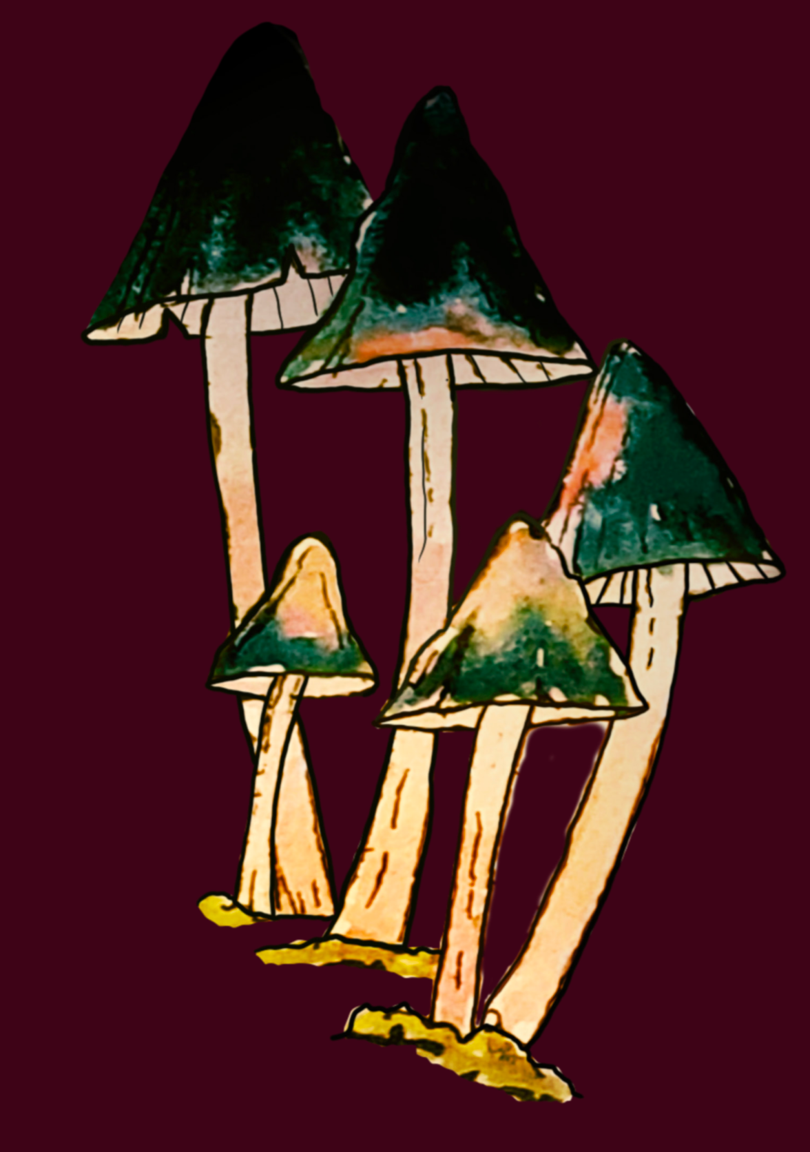 Tall and pointy mushrooms on a dark red background
