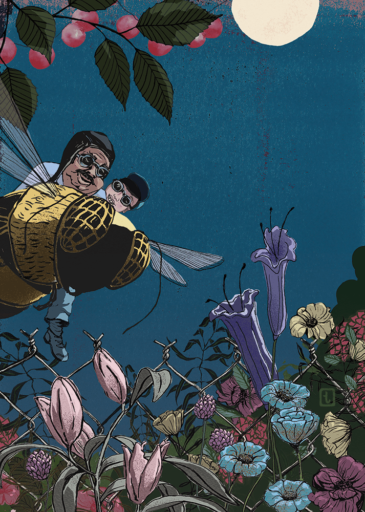 Märchenbuch |  Editorial Illustration | Der Apfelbaum