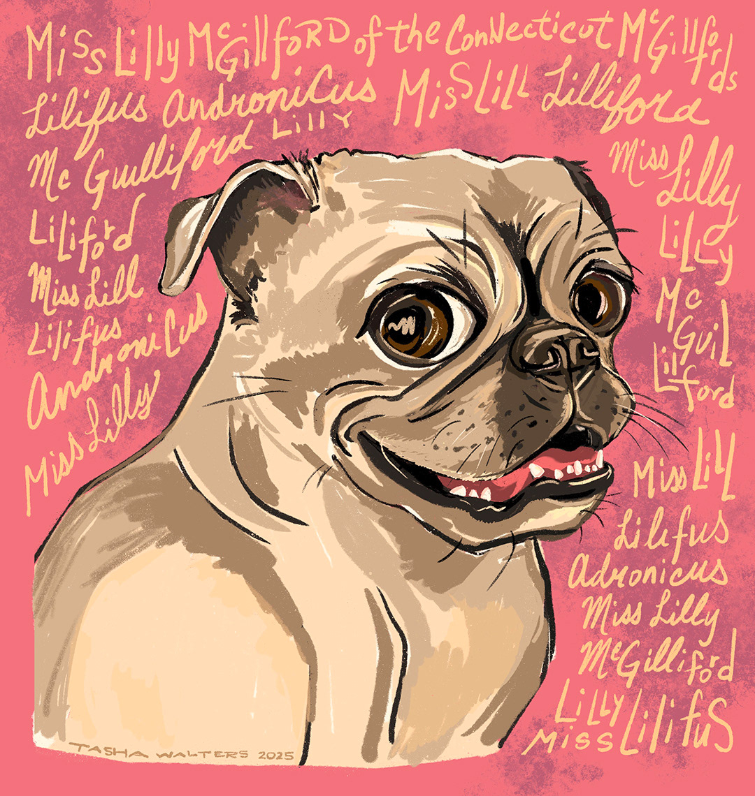 Commission | Miss Liliford Andronicus