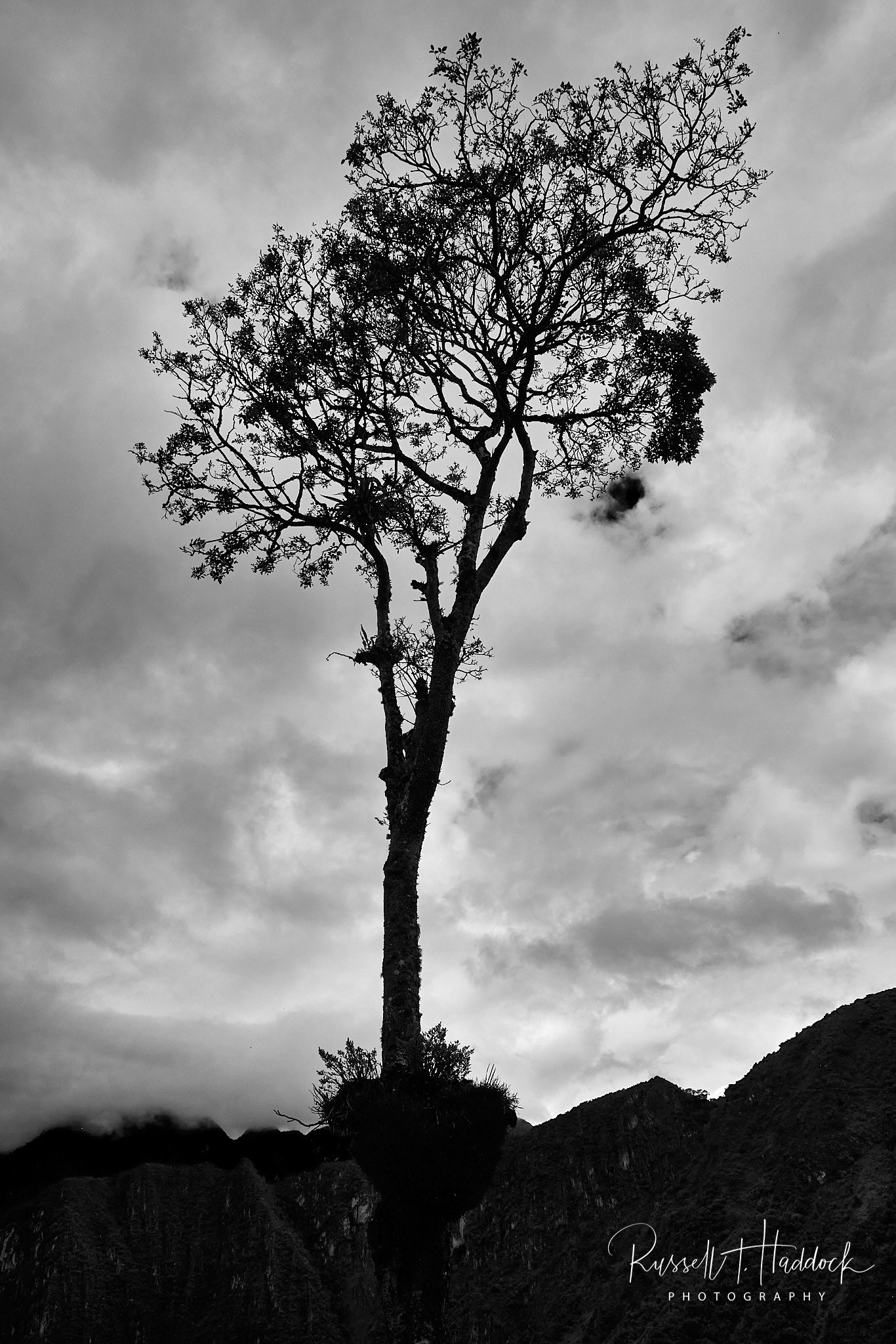 1/3/23 Machu Picchu
