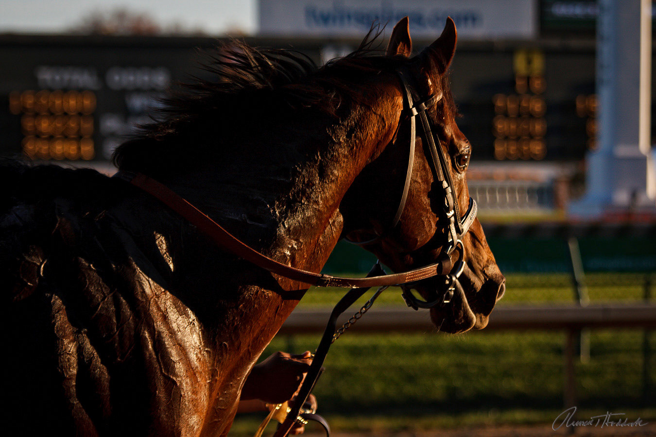 11/8/09 Churchill Downs