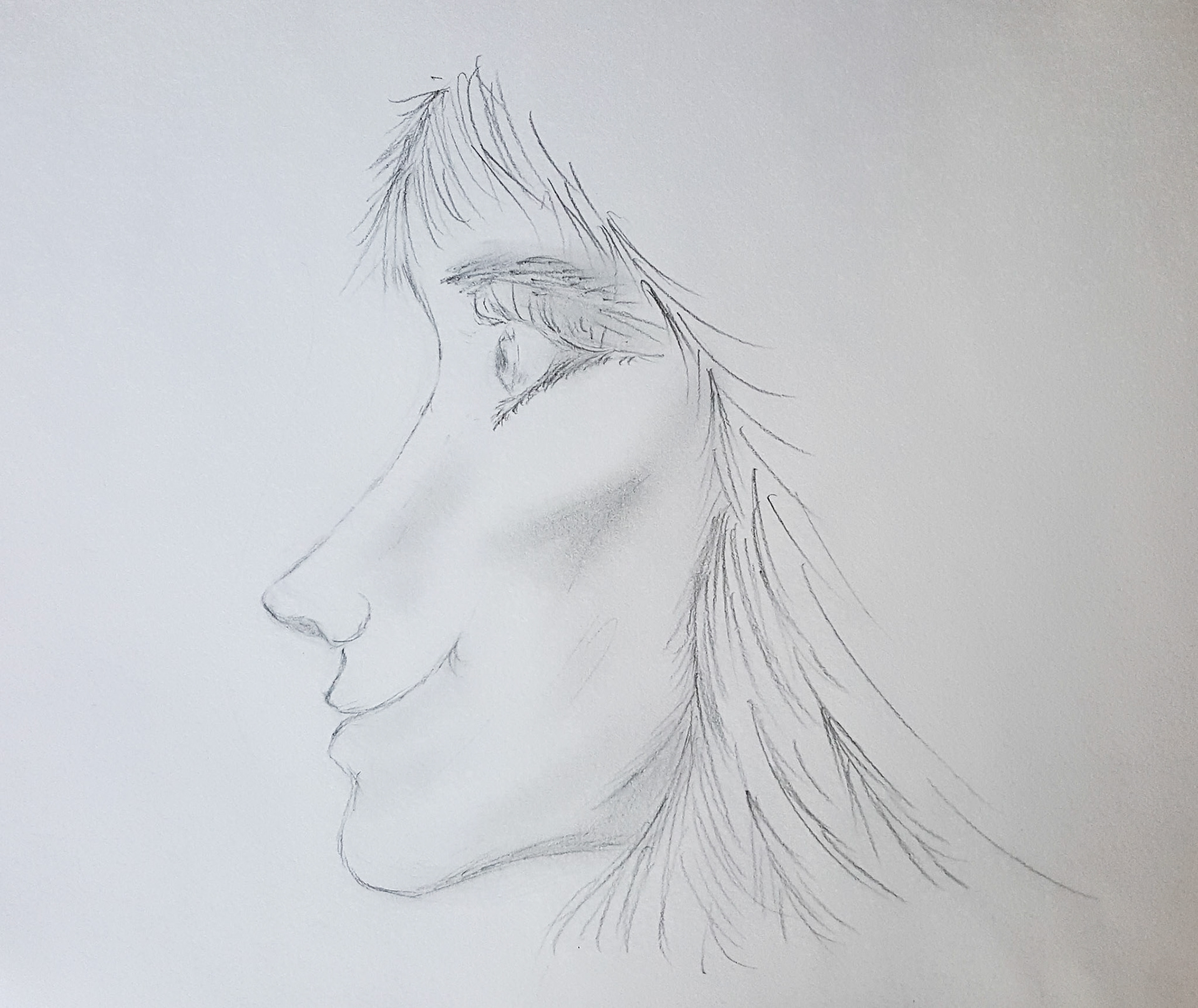 Neasa