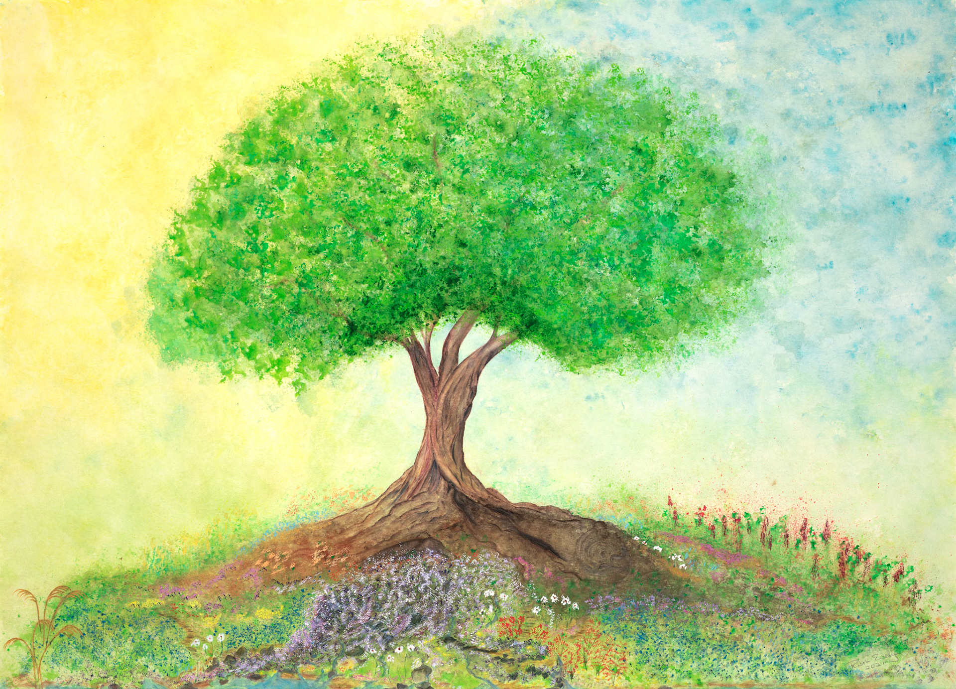 Tree on the Hill