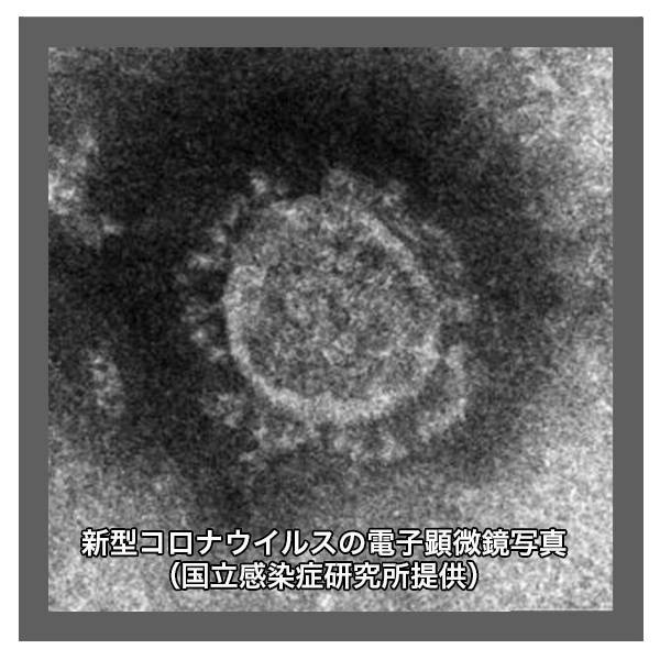 デジタルサイネージ・コラム