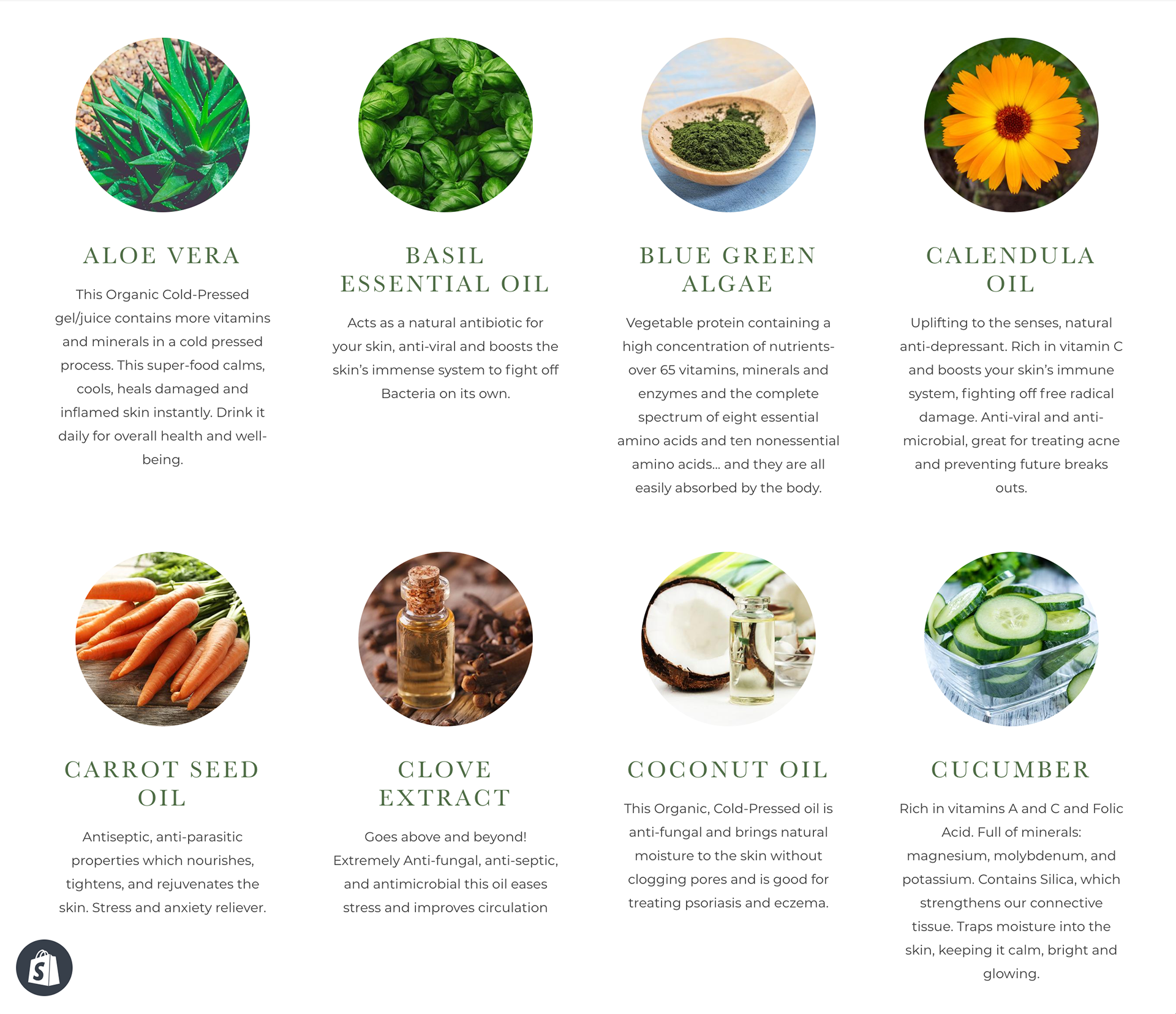 Website screen shot 3