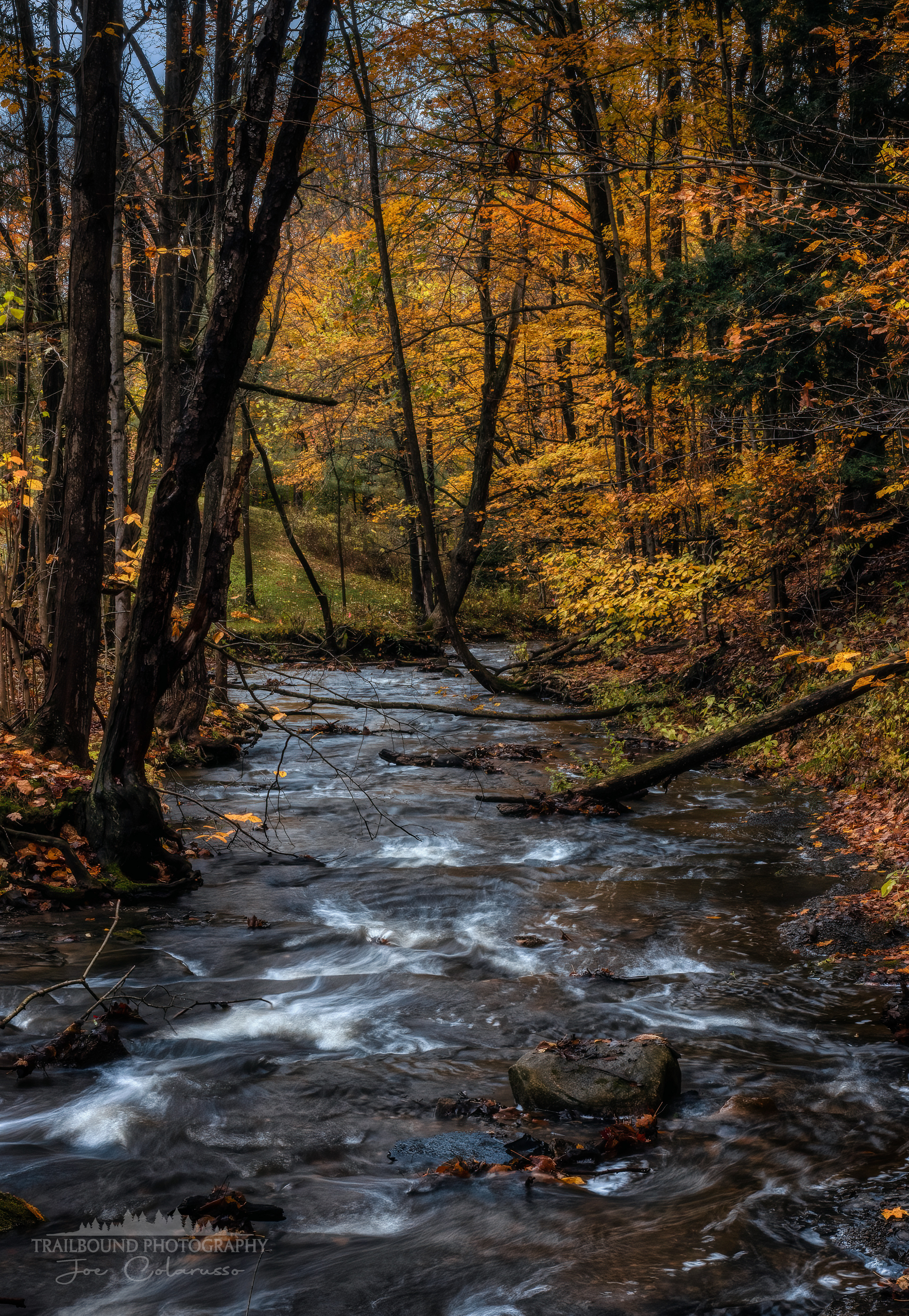 Flowing Down Autumn Stream