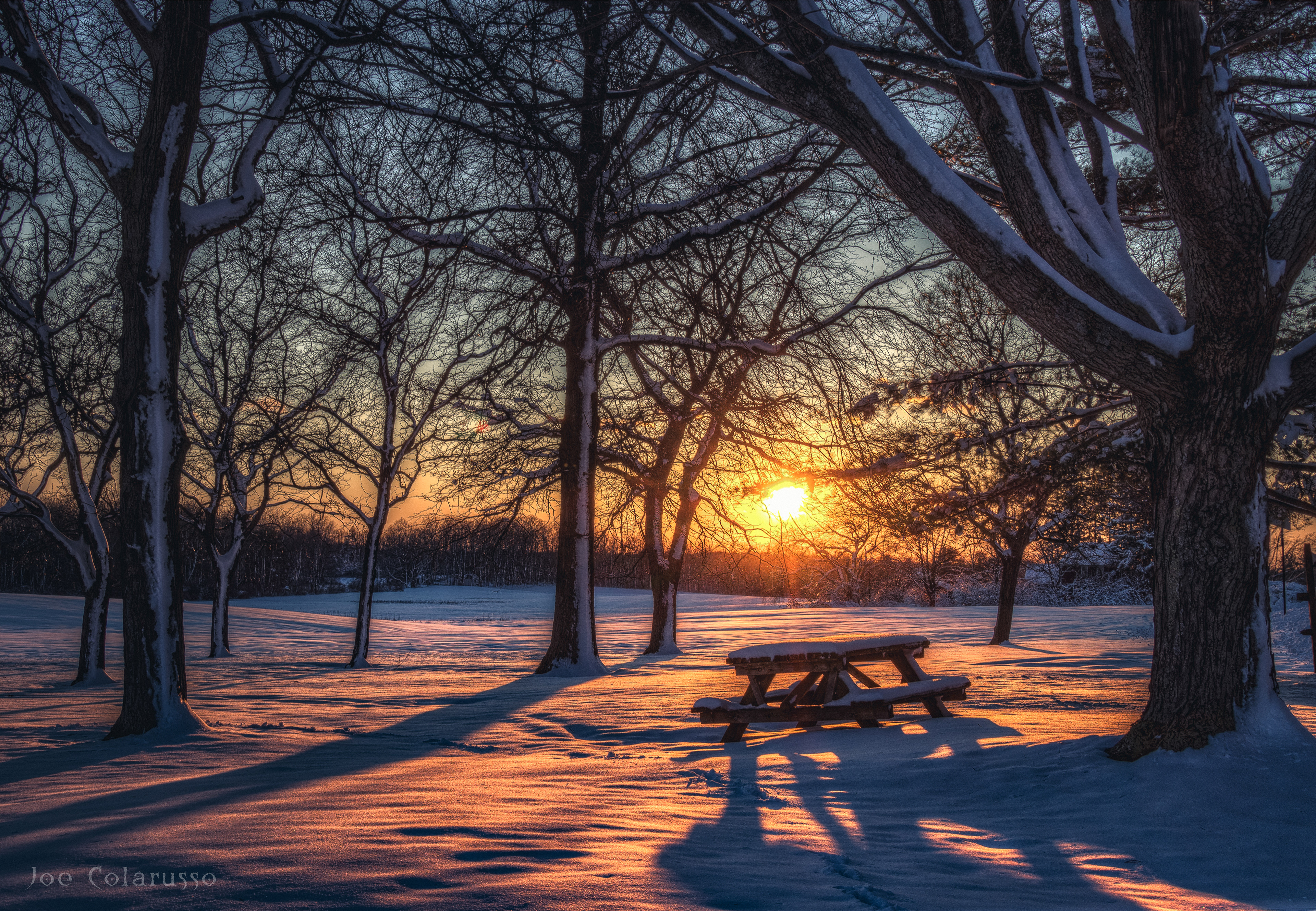 Winter Bench