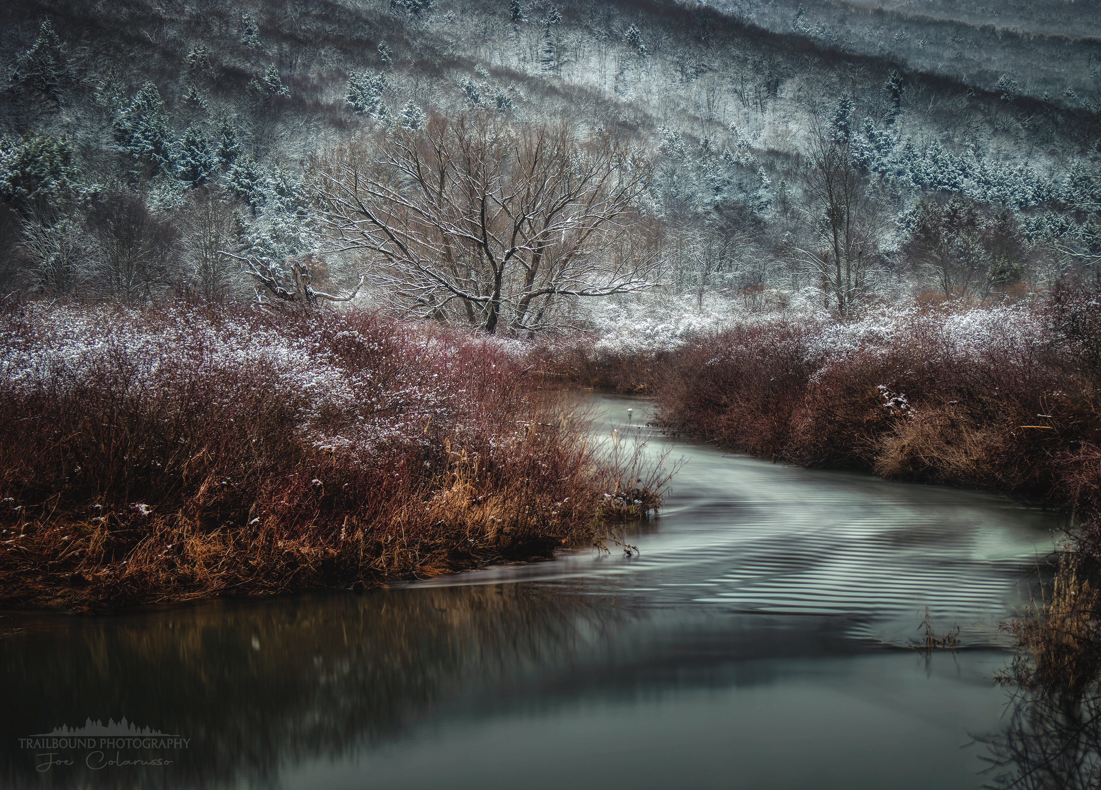 Winter Wetlands