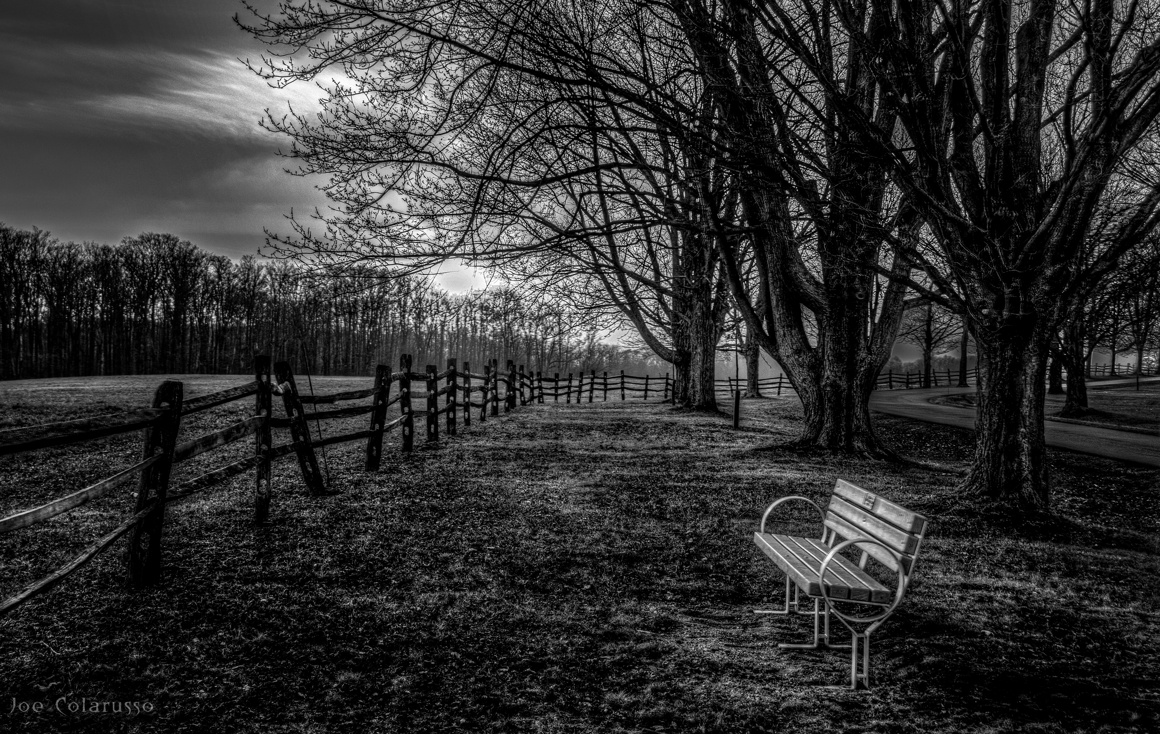 Lonely Bench