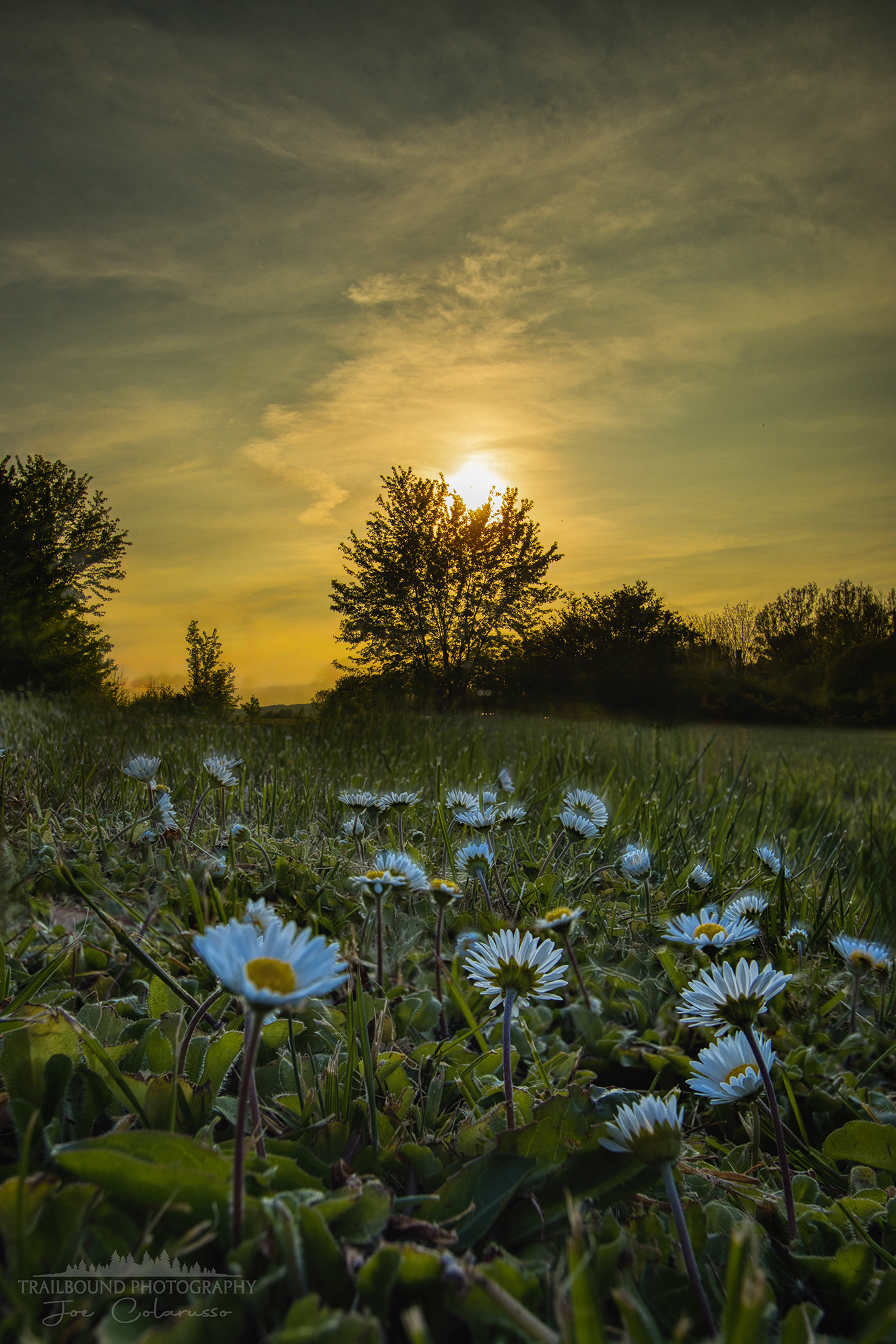 Spring Sunset