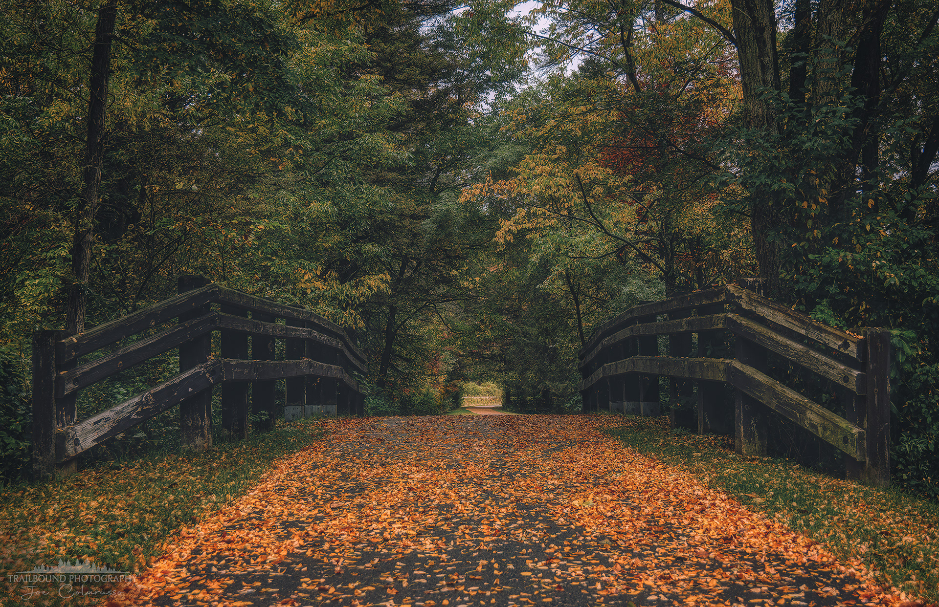 Path of Leaves