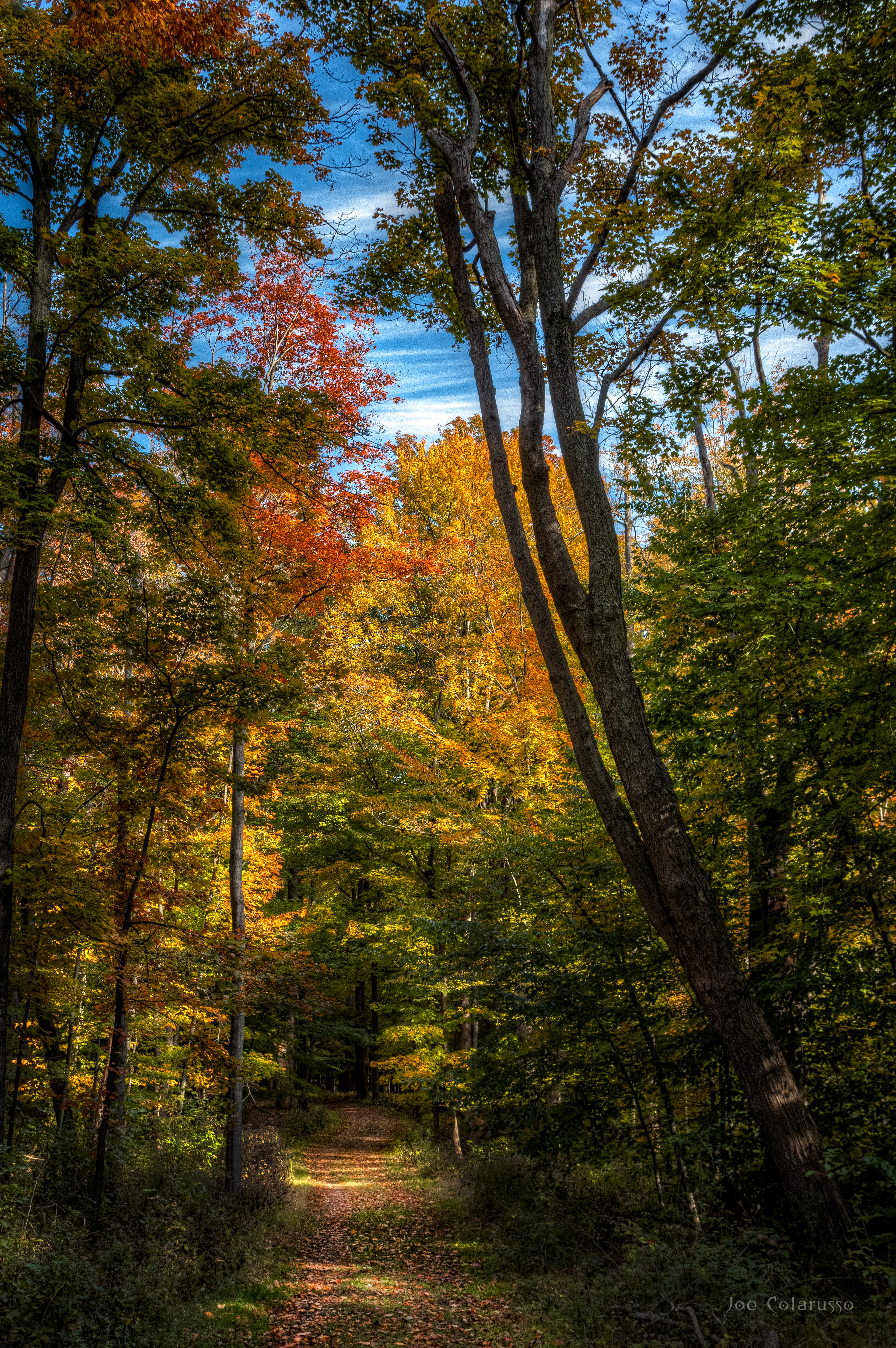 Into The Color