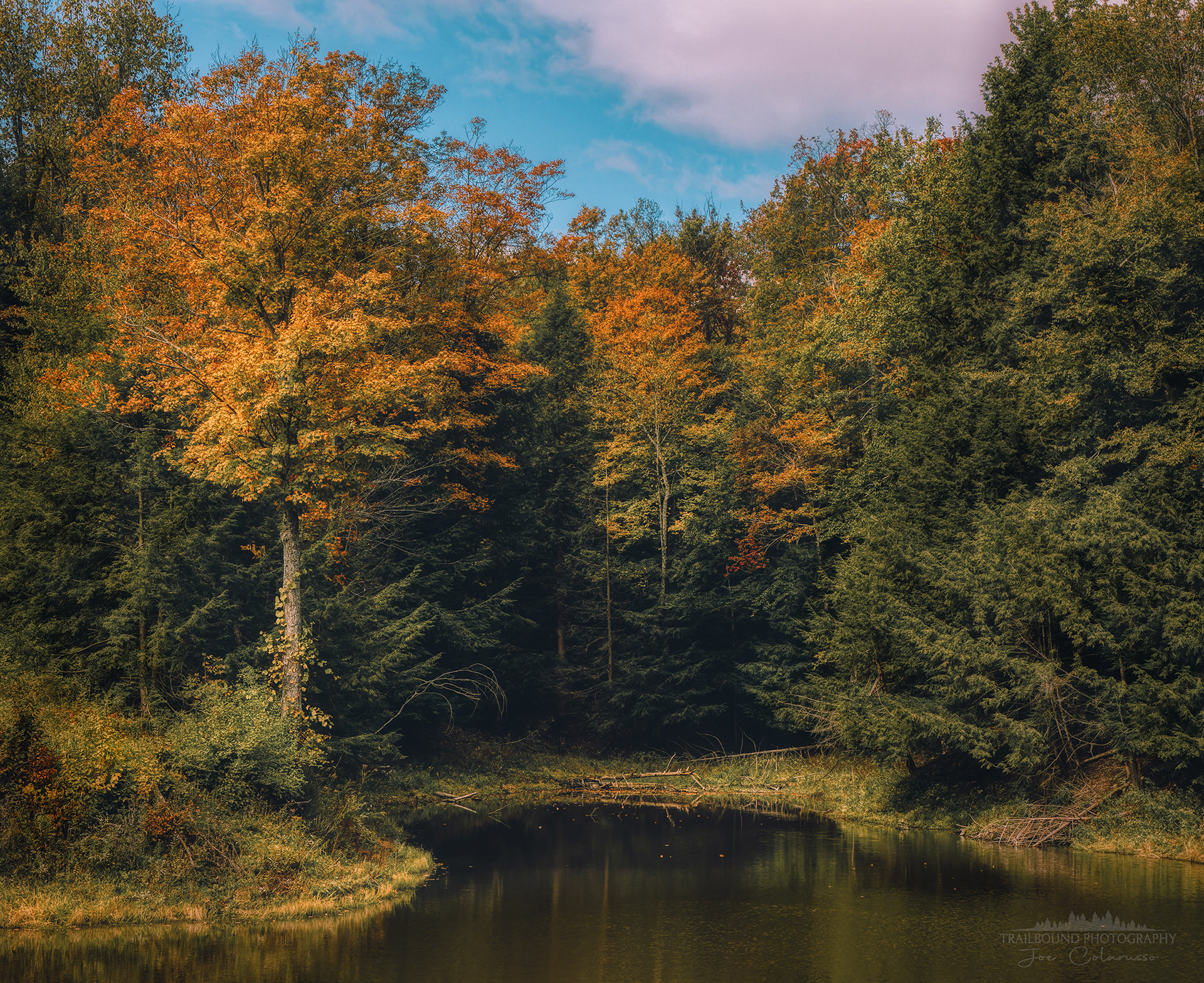 Autumn Cove