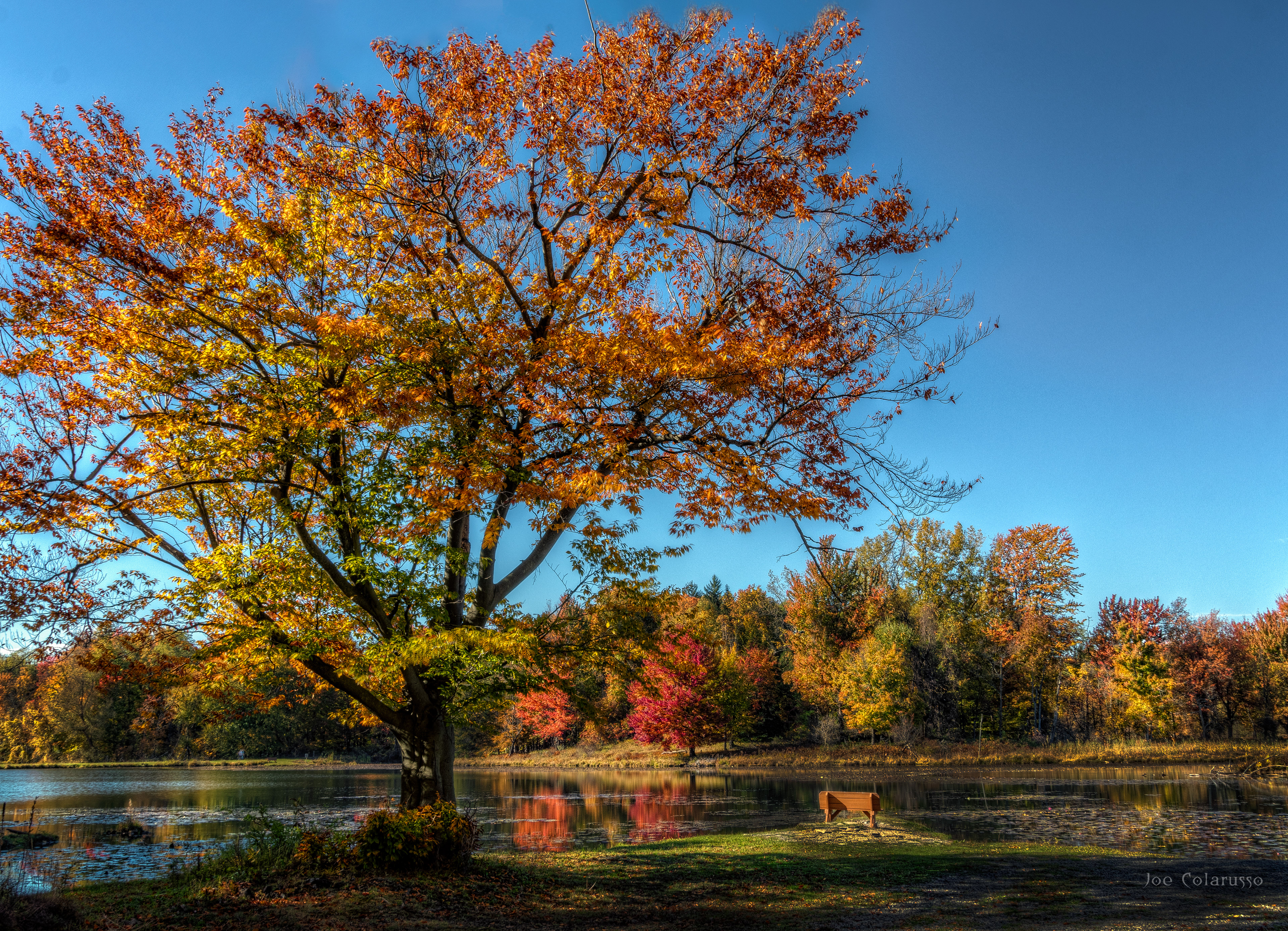 An Autumn Scene