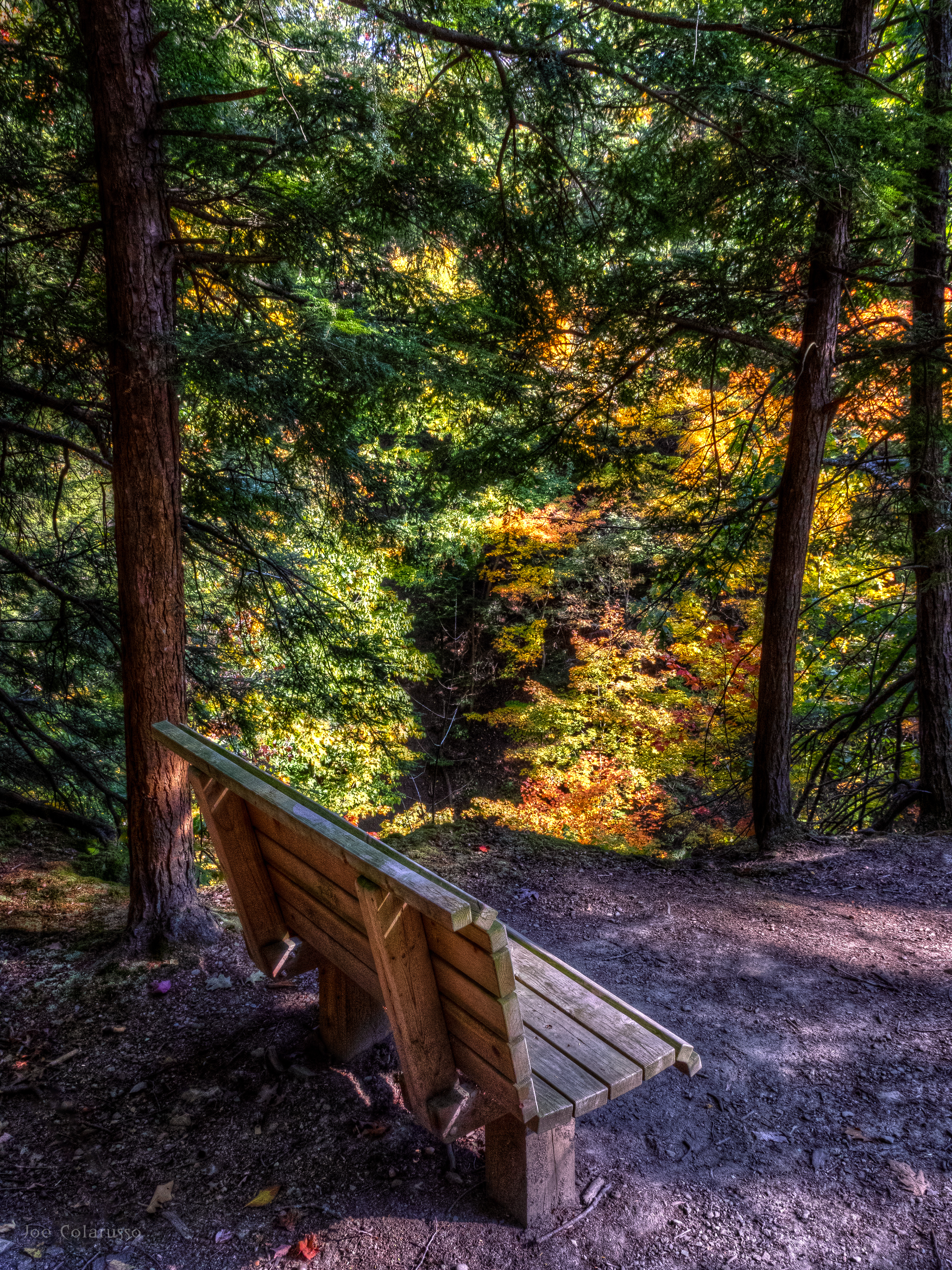 Bench Colors