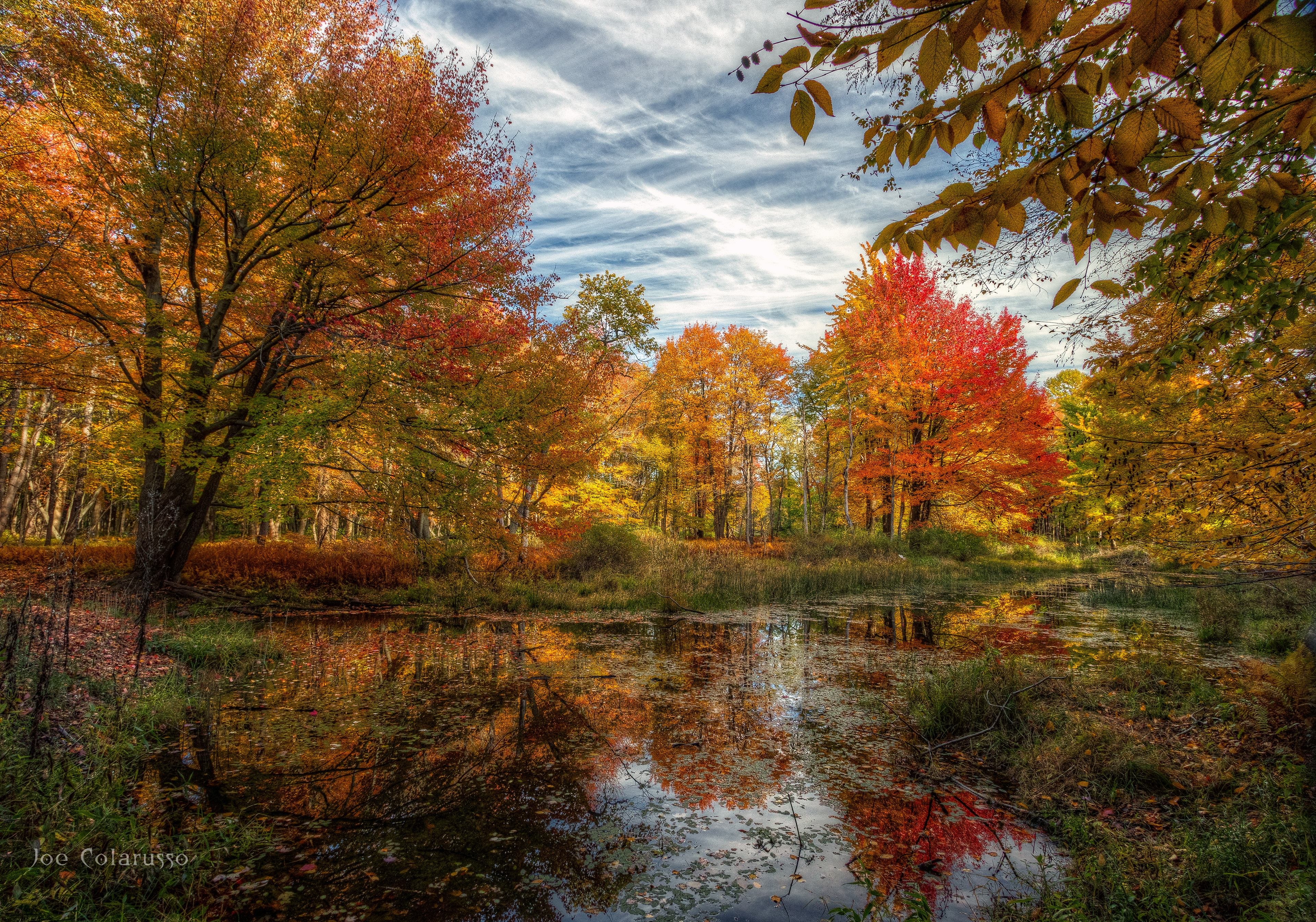 Small Pond Color