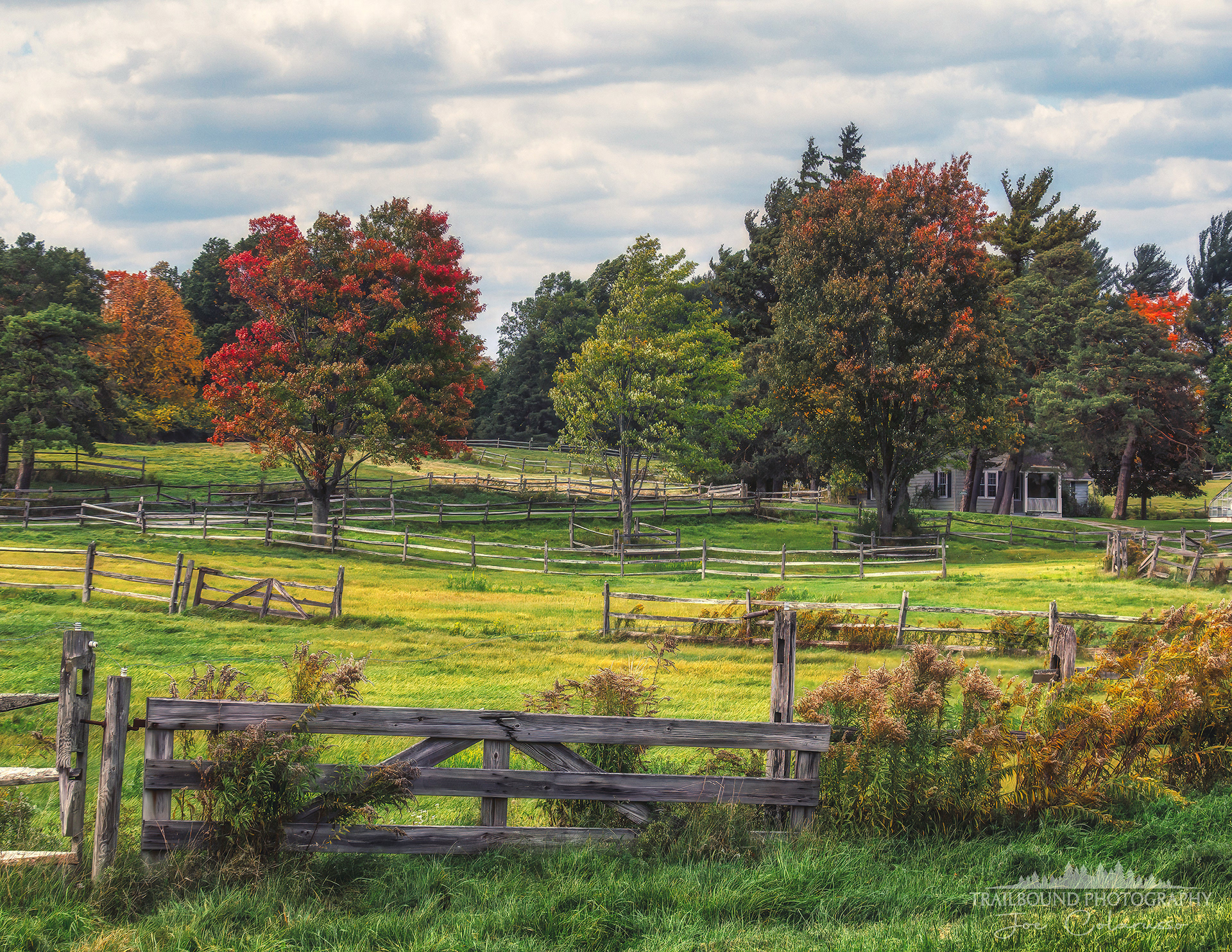 Fences