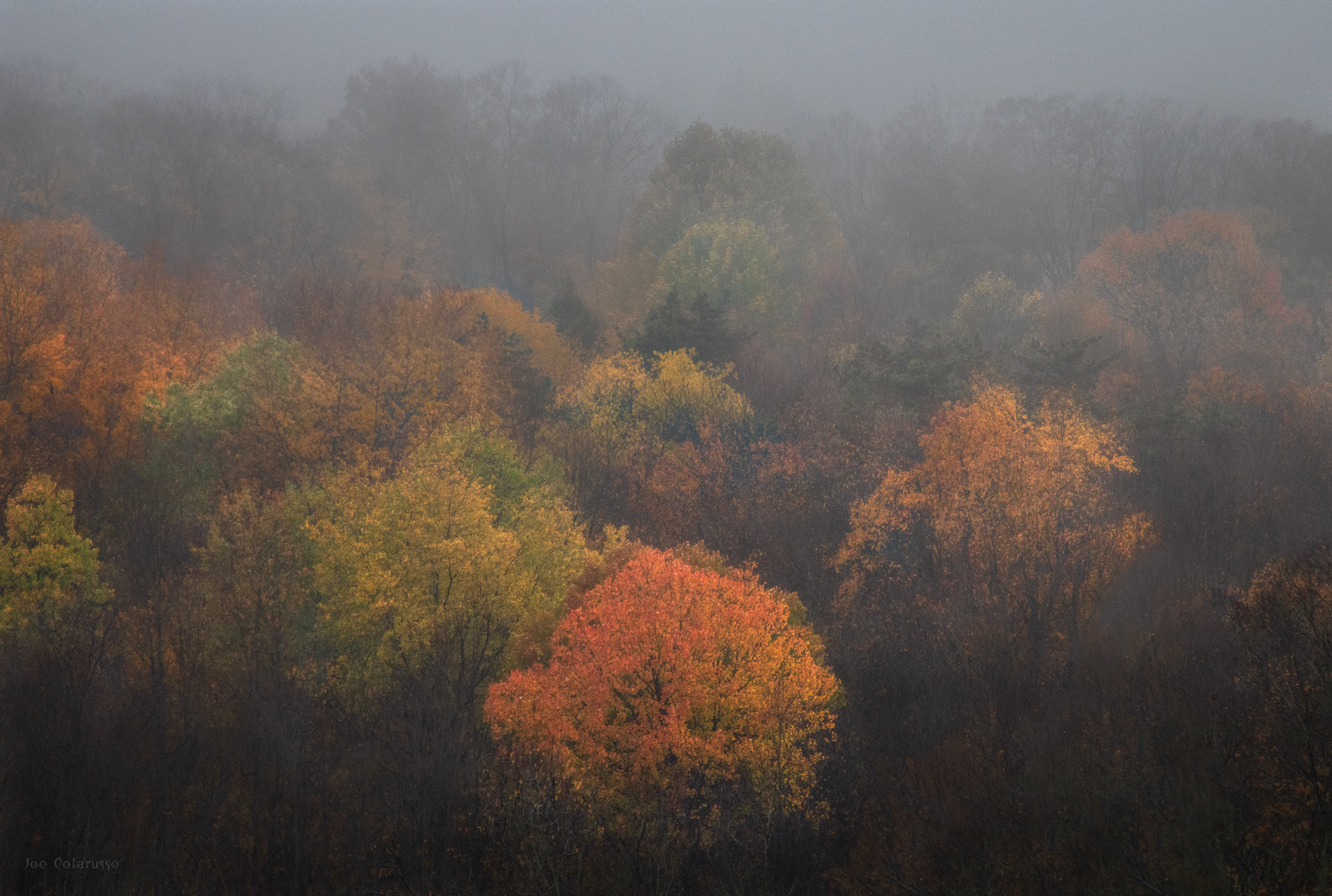 Color and Fog