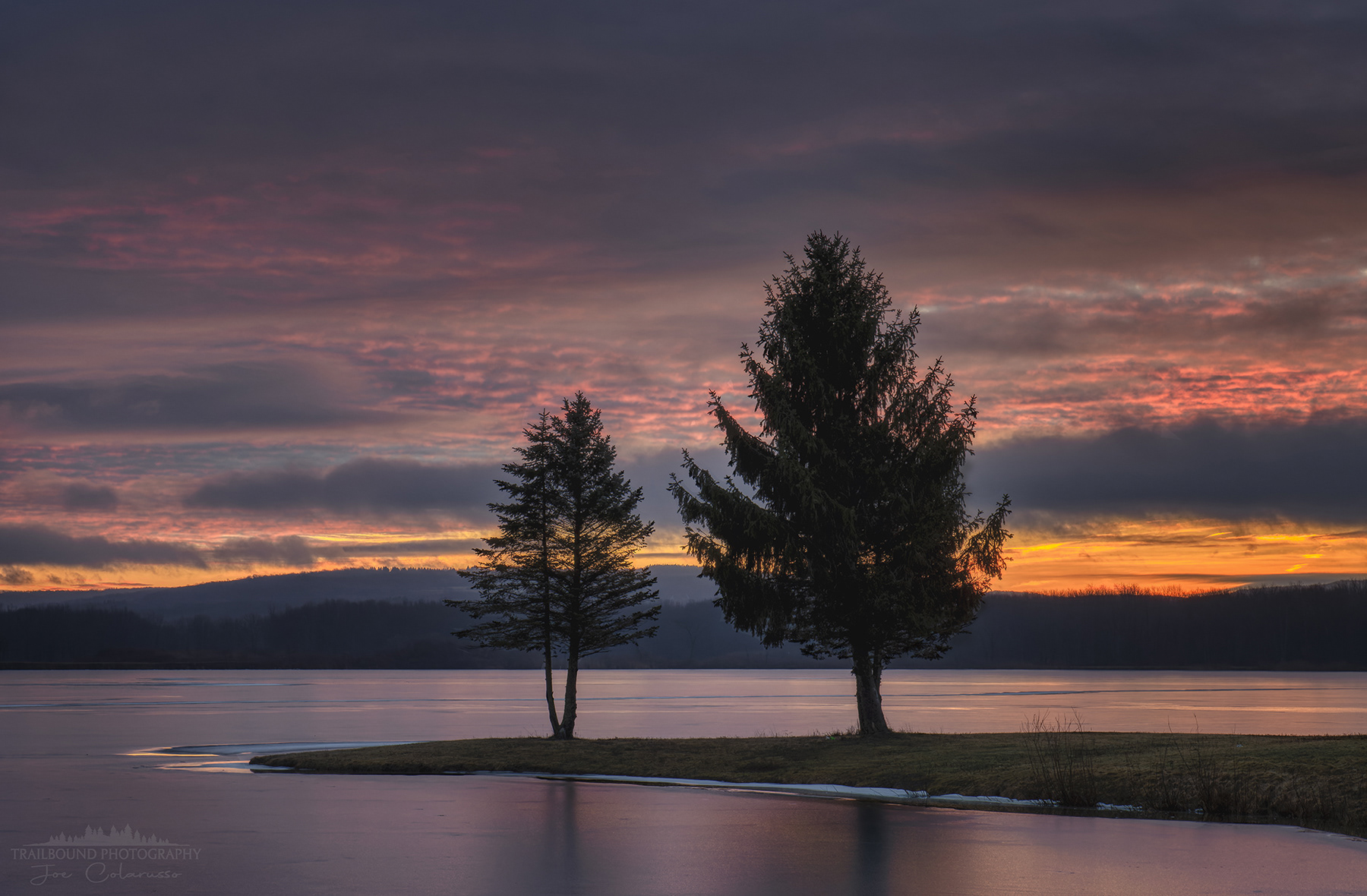 Two Pines