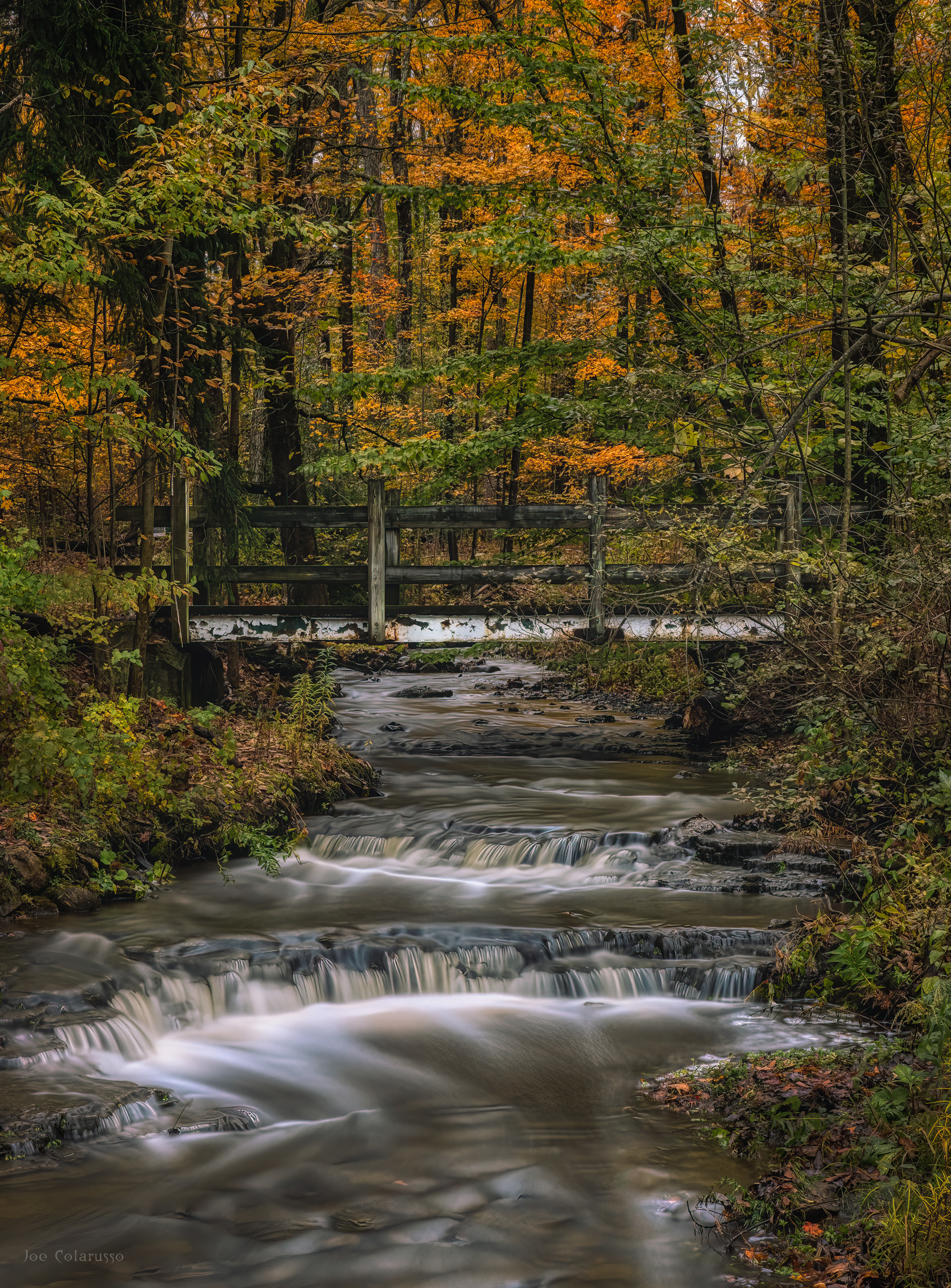 Autumn Flow