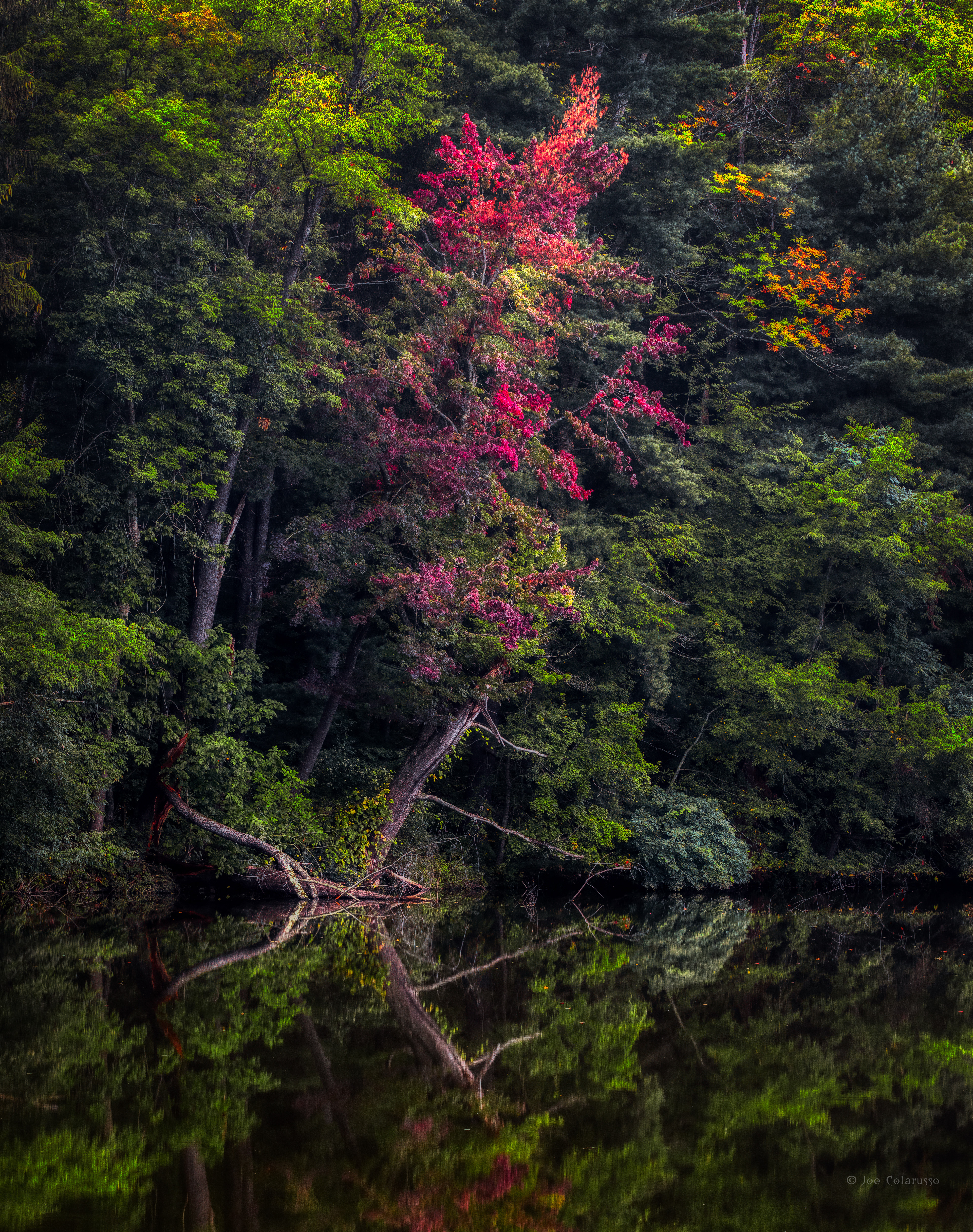 End of Summer