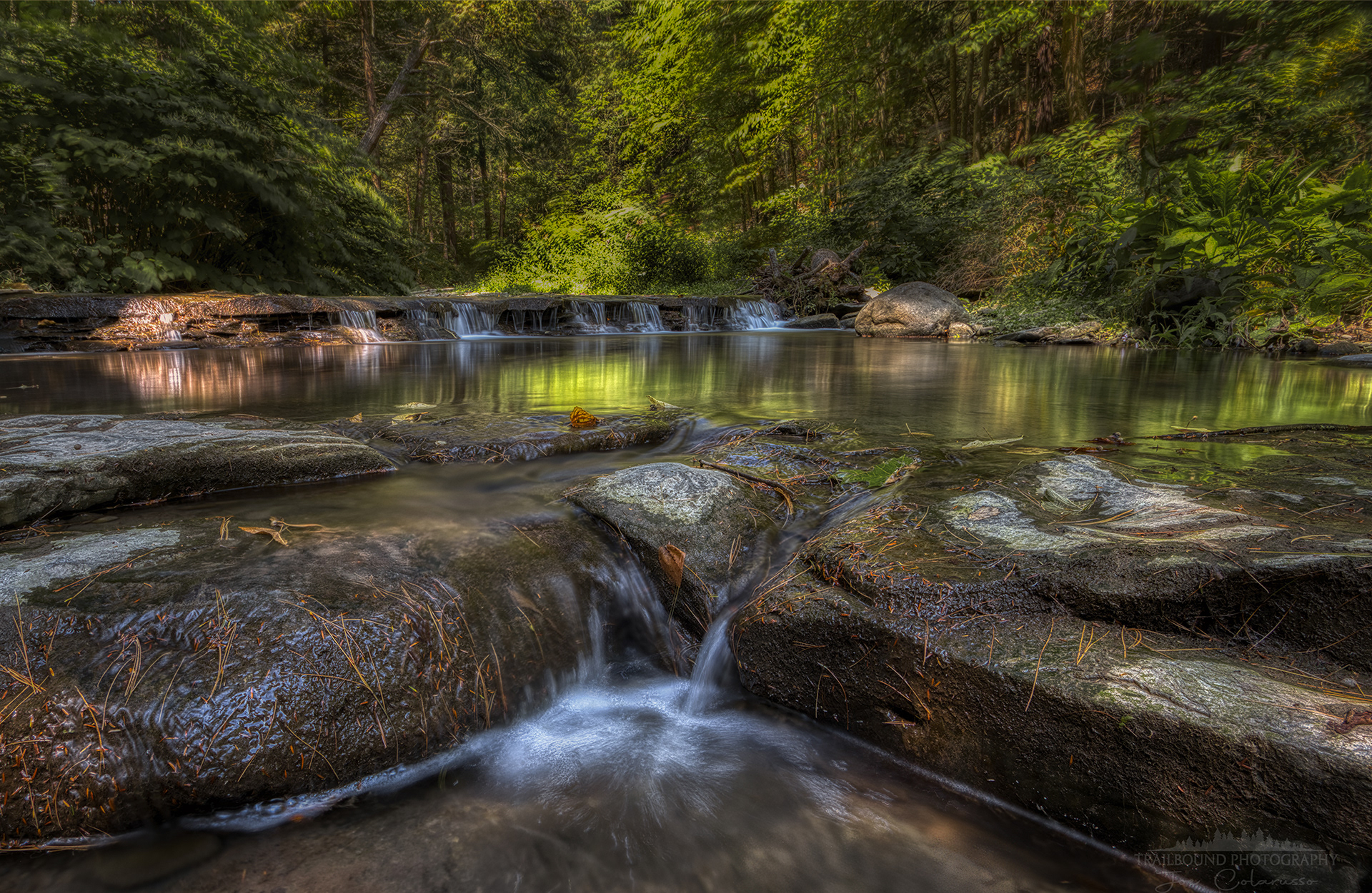 Wolf Upstream