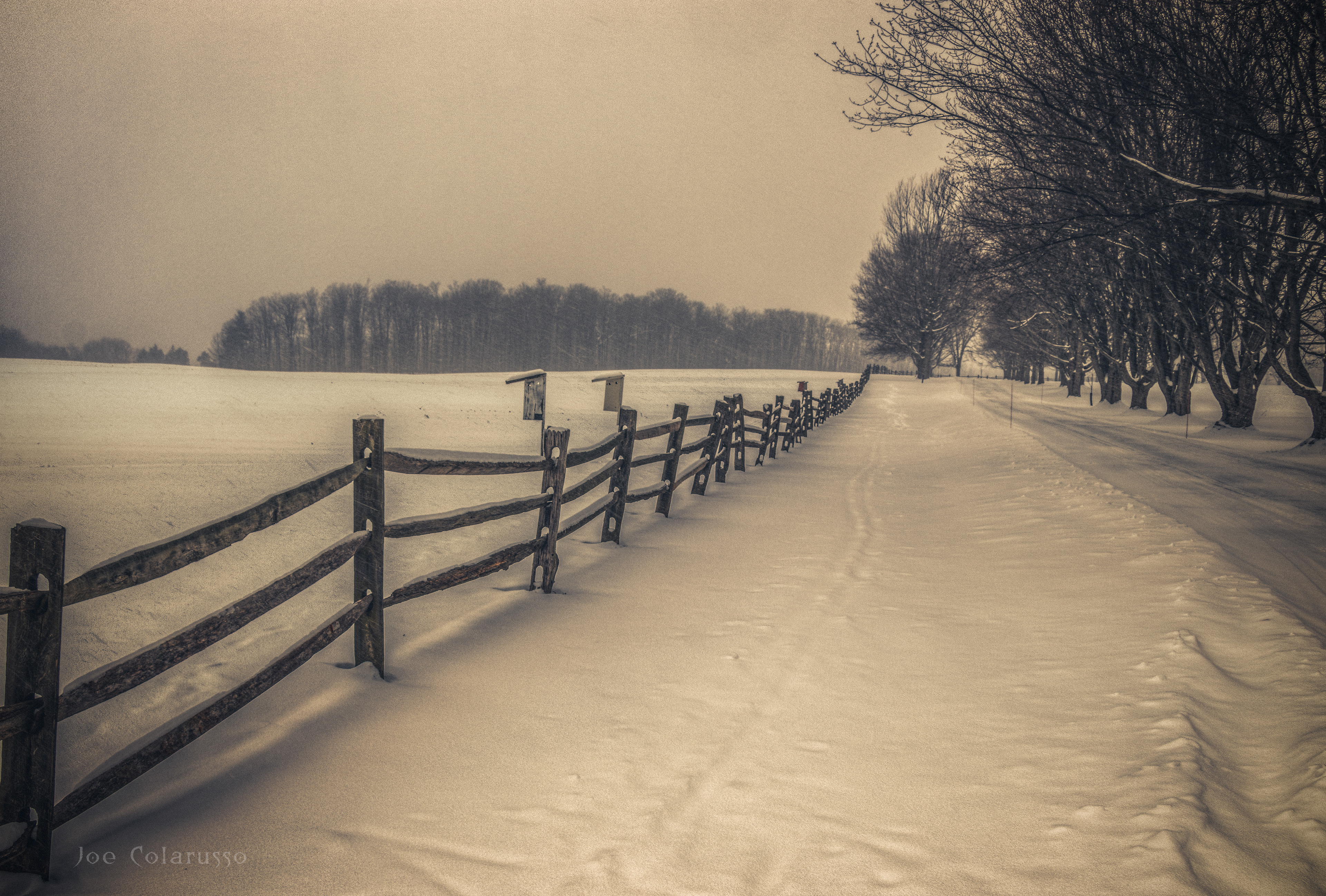 Winter Fence Line