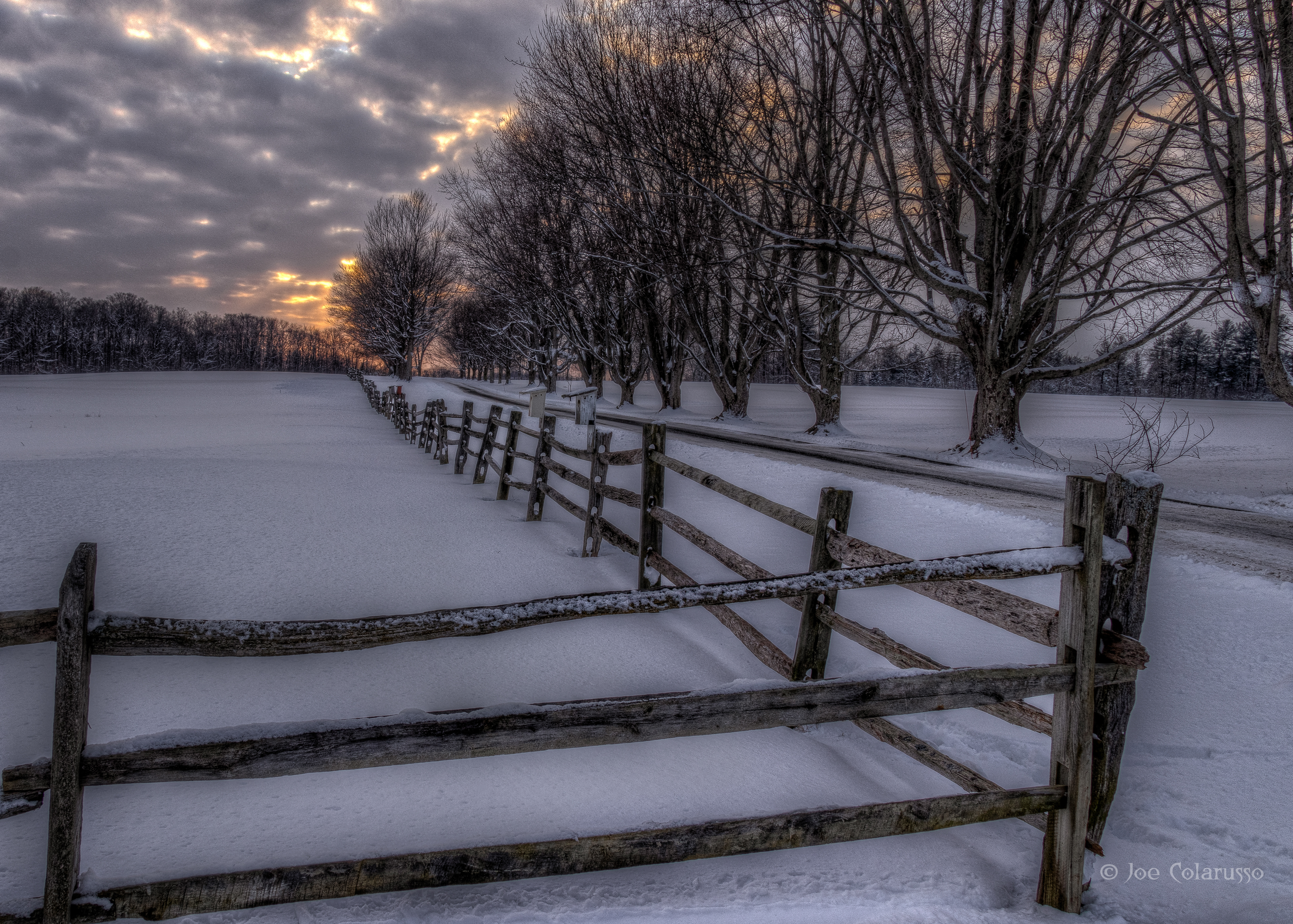 Fence into the Sunset