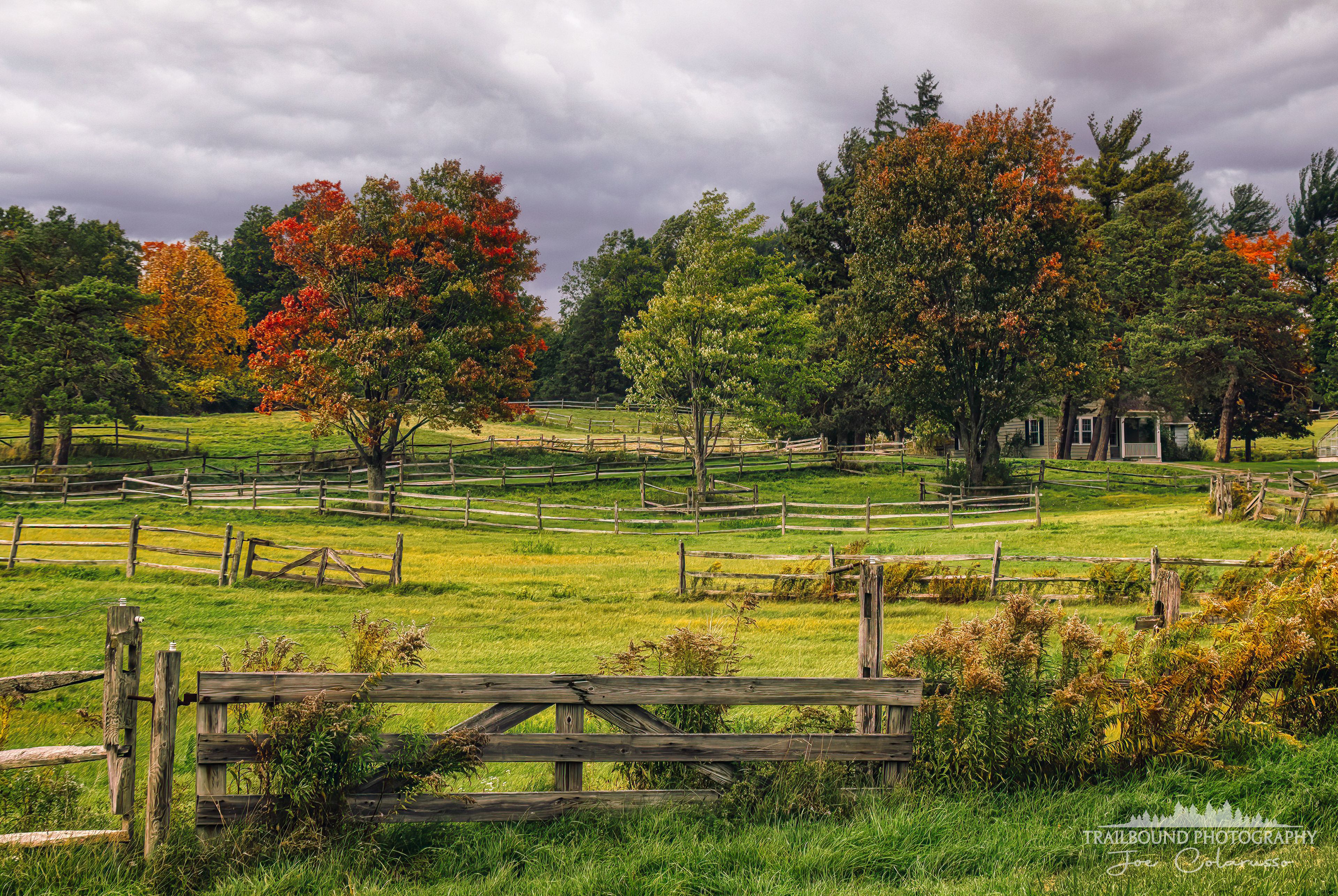 Fences