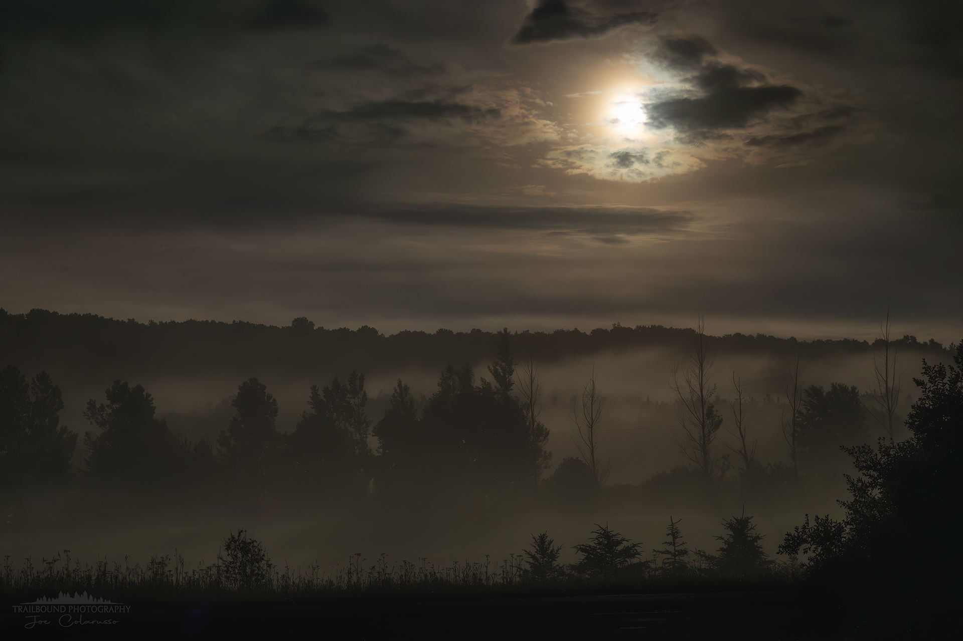 Fog In The Hills