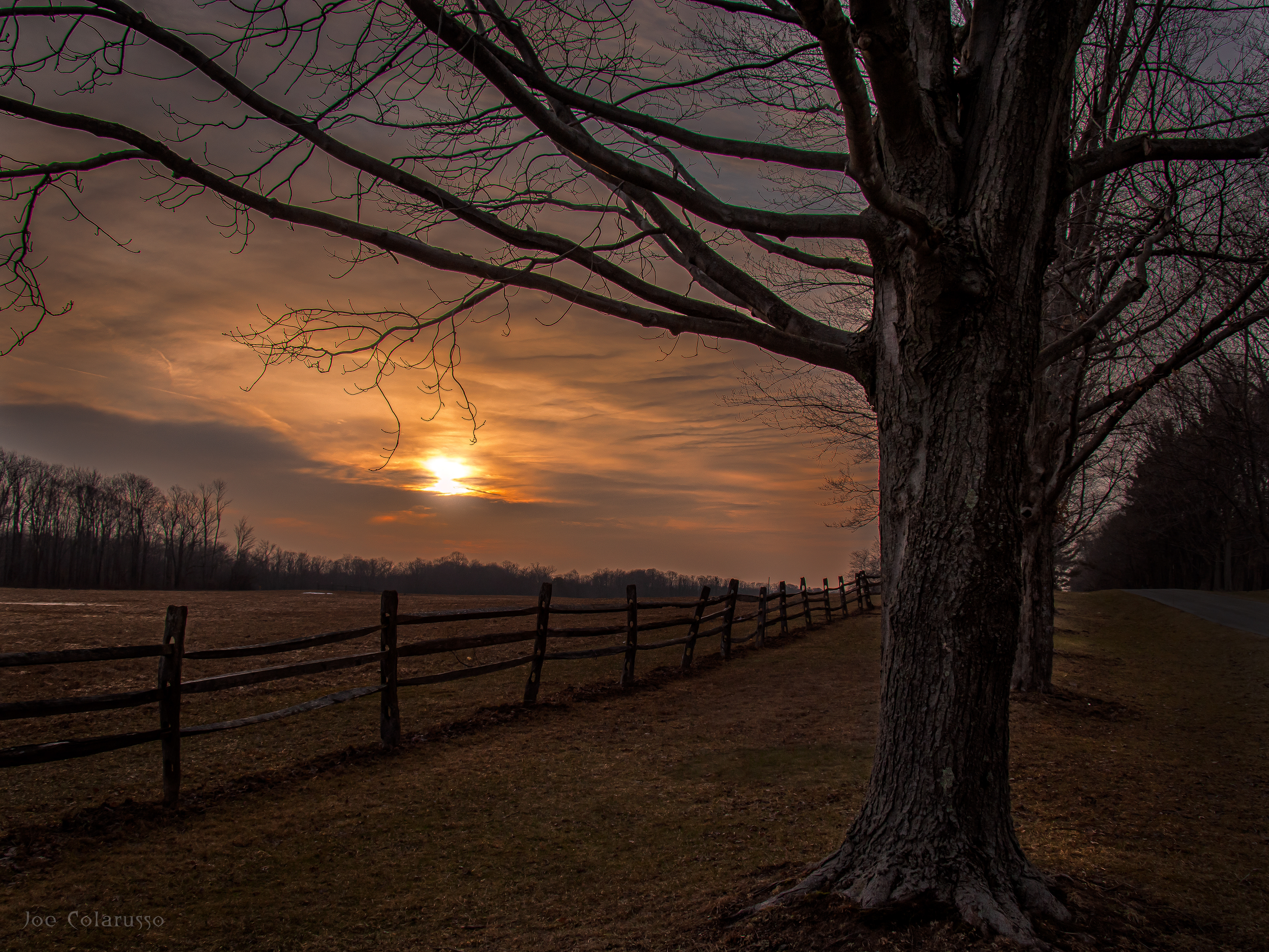 Fence Sunset