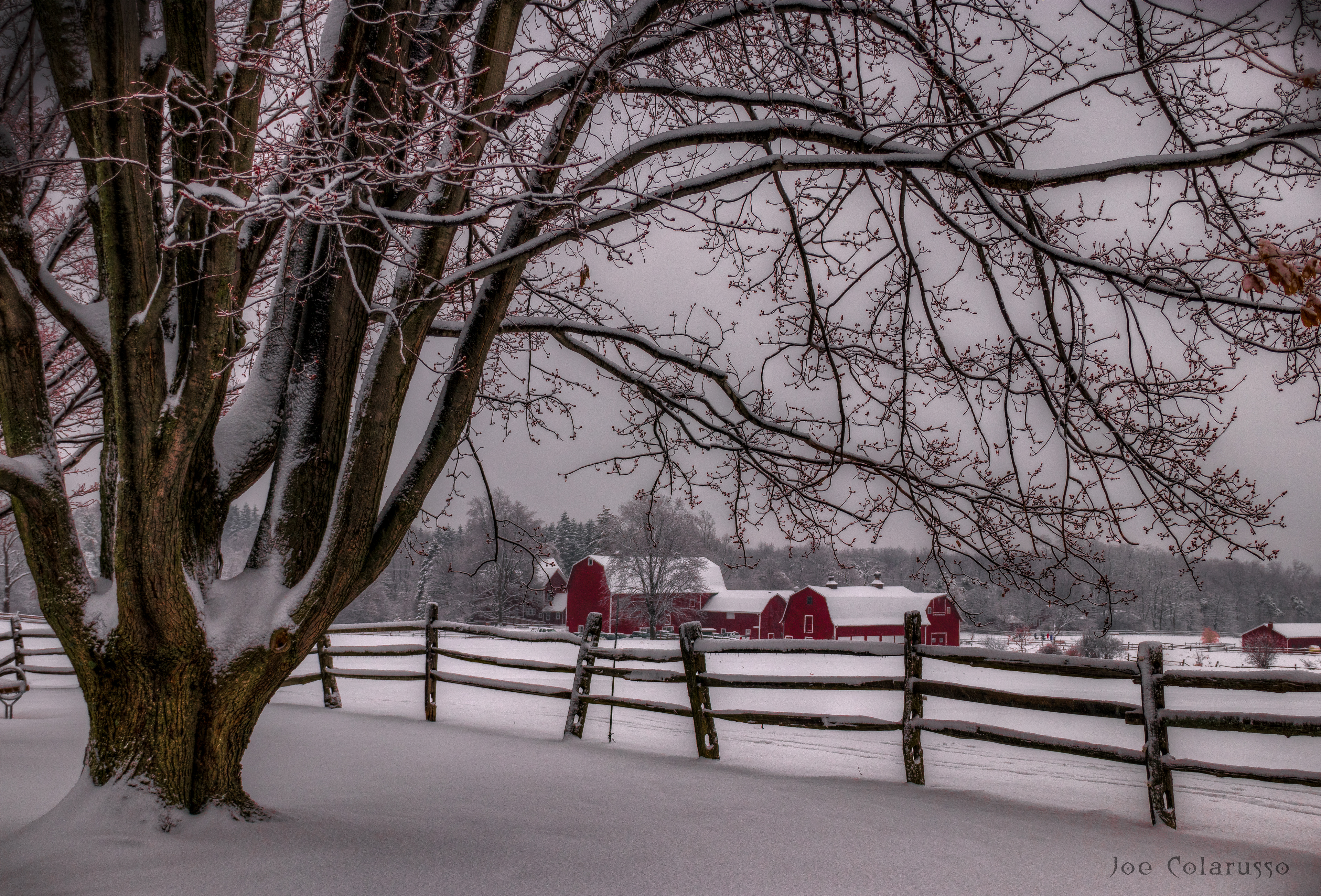Winter Barns