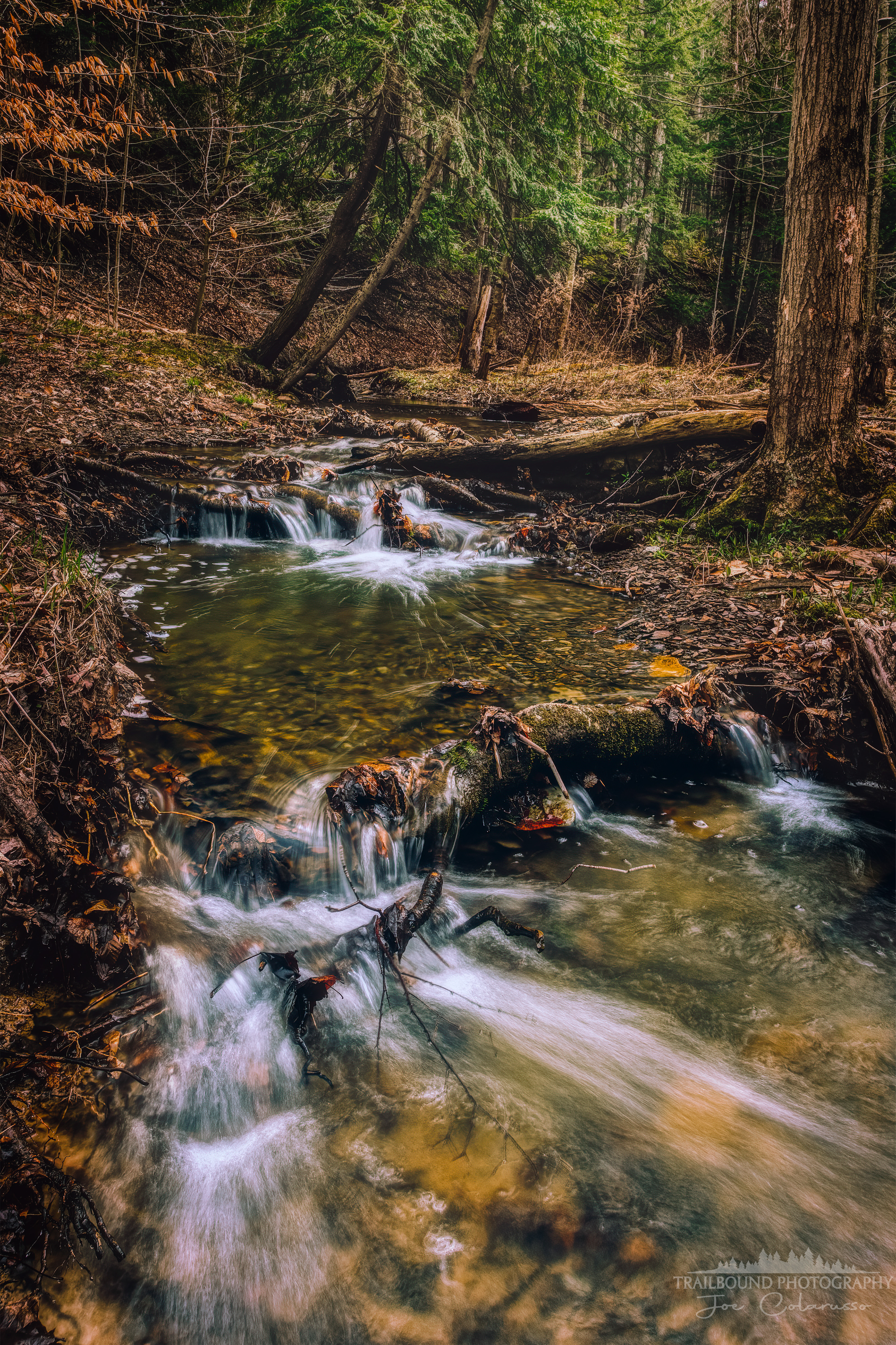 Spring Flow