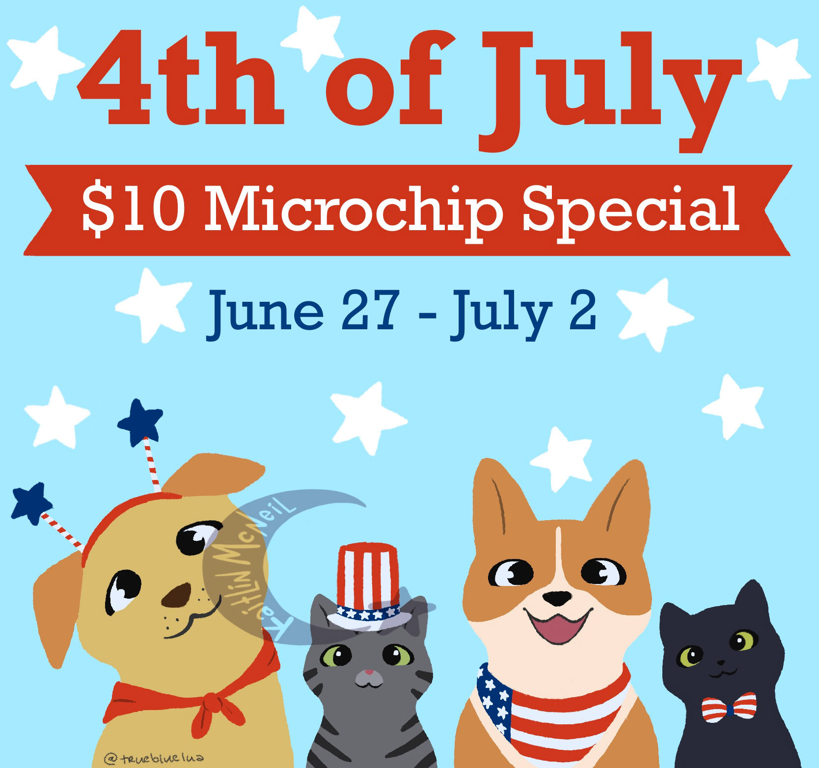 IFAS Microchip Special