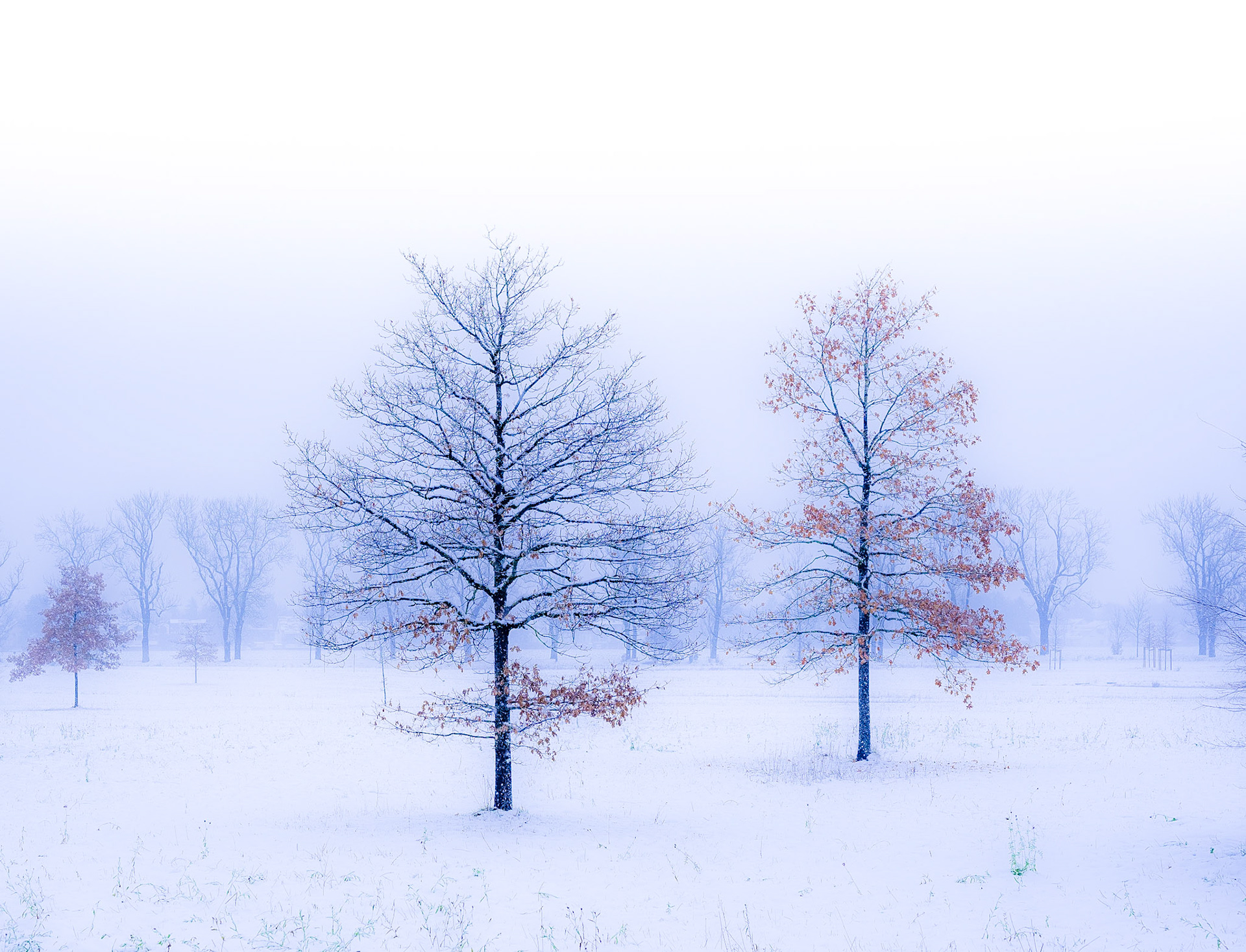 Fasanenpark, Unterhaching, Germany