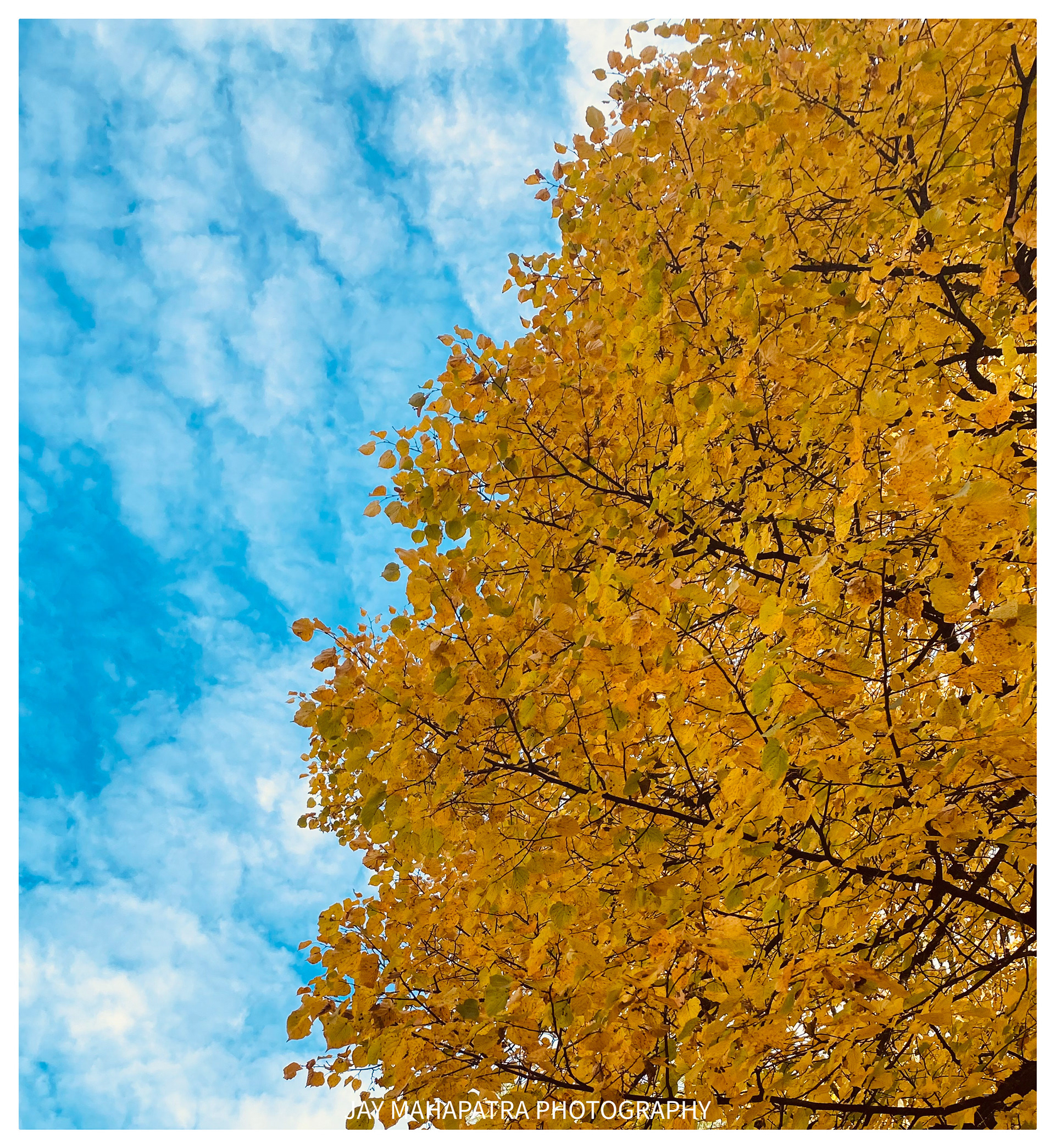 Fasanenpark, Unterhaching, Germany