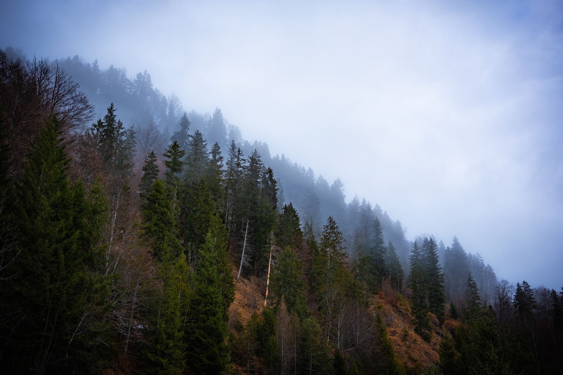 lengerries, Bavaria, Germany