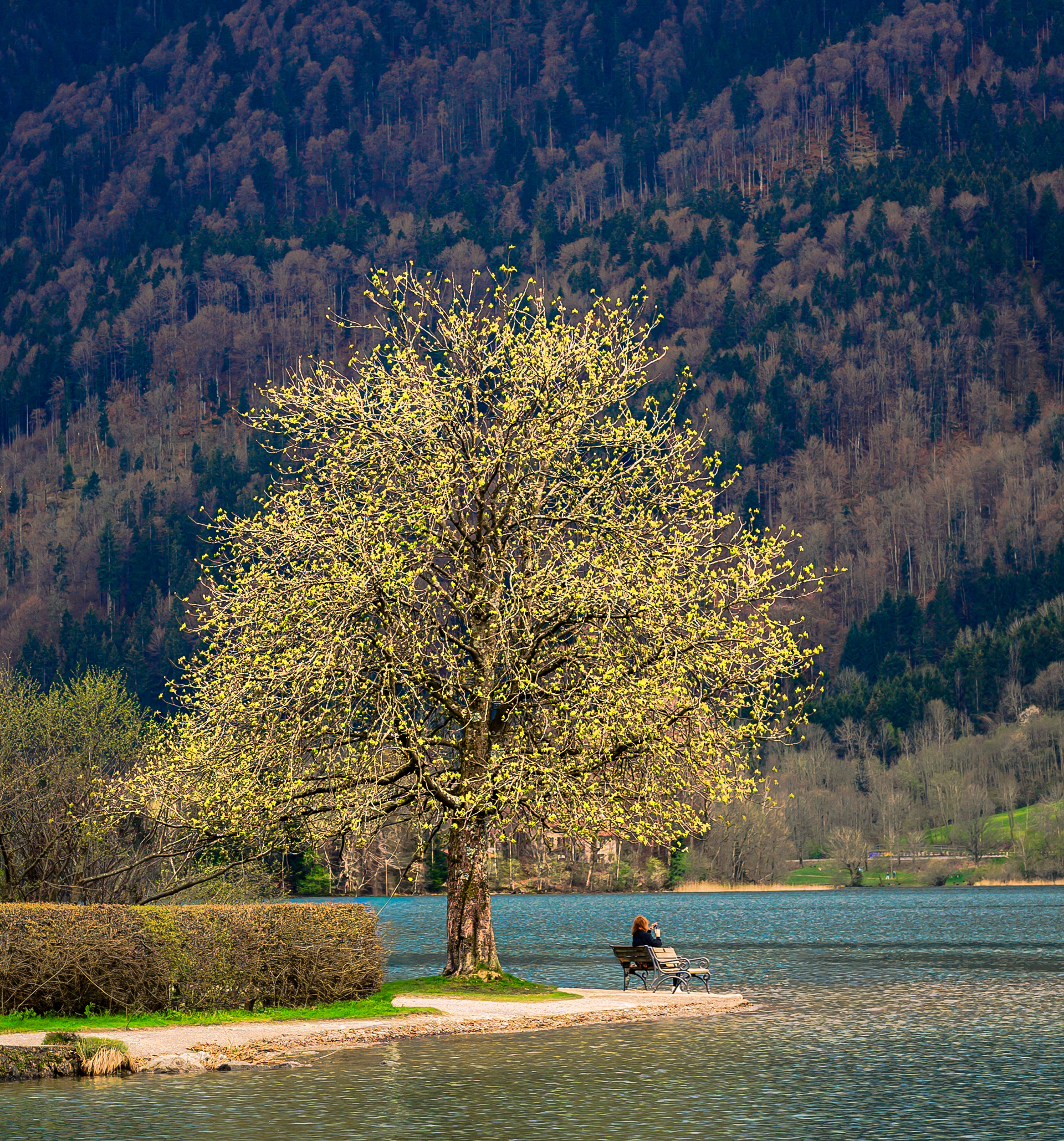 Schliersee, Bavaria, Germany