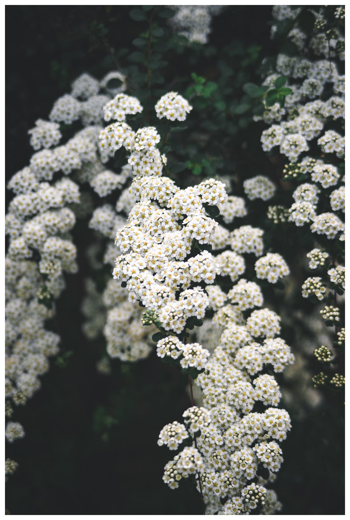 Fasanenpark, Unterhaching, Germany
