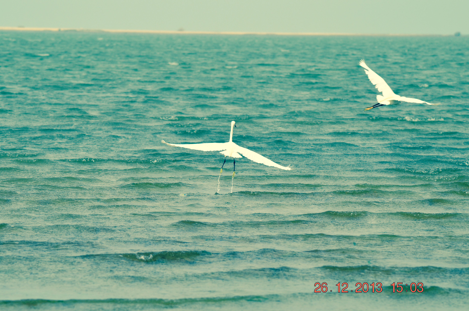 Dhanuskodi, Tamilnadu, India