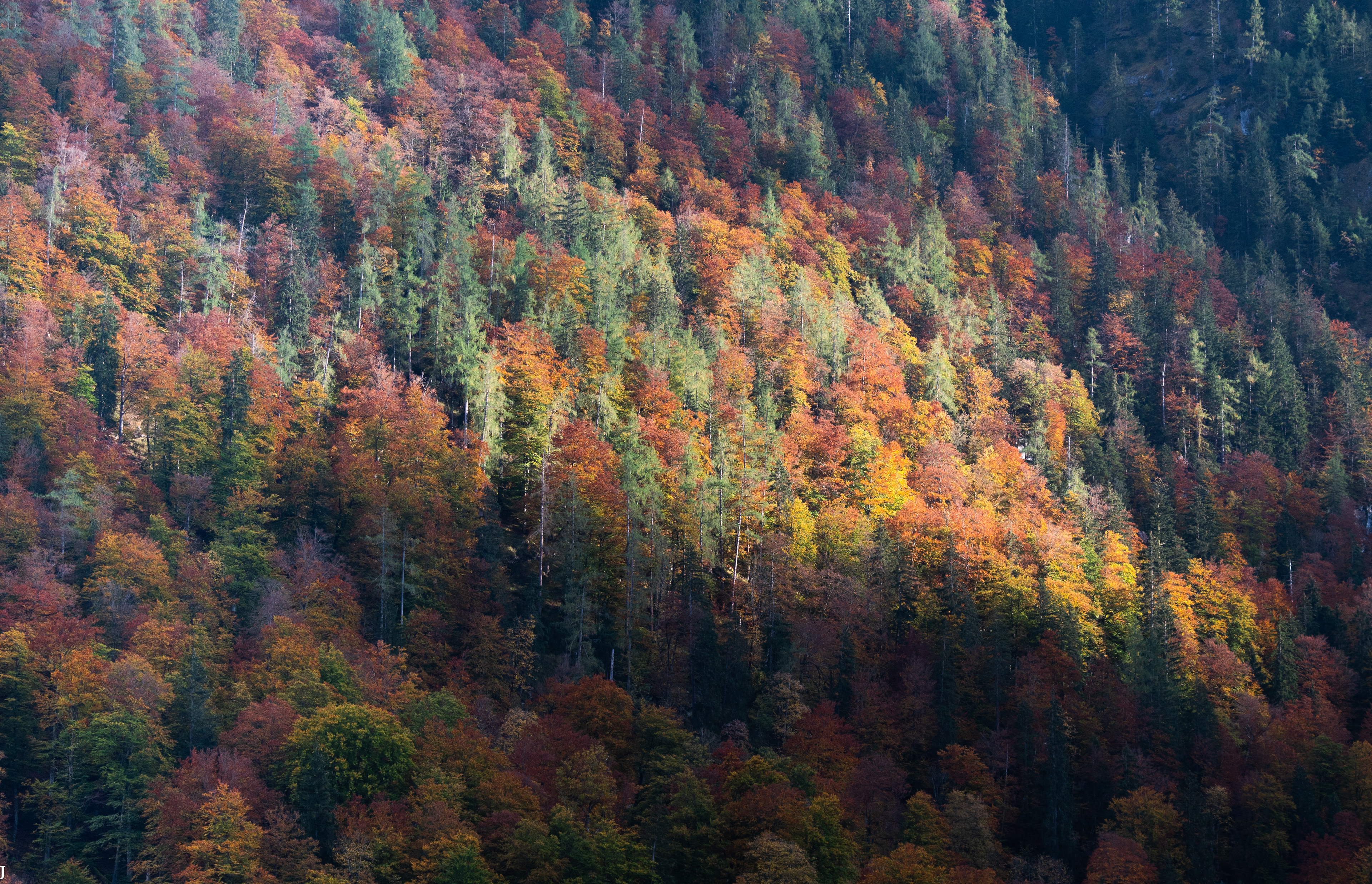 Königsee, Bavaria, Germany