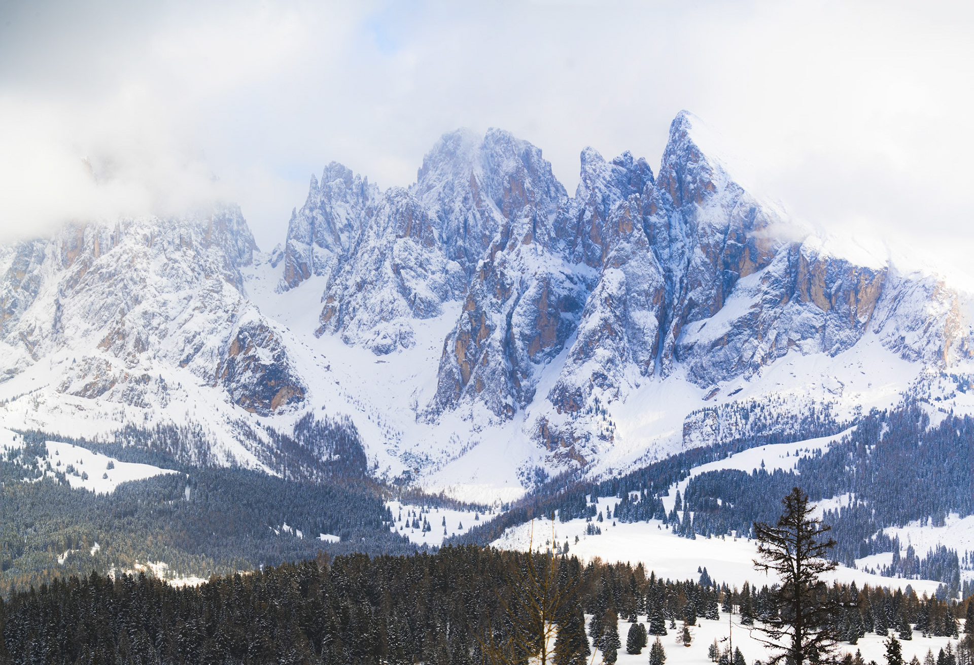Alpe di Siusi, Dolomities, Italy