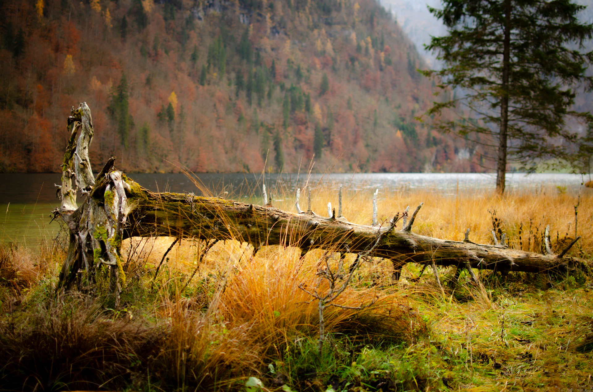 Königsee, Bavaria, Germany