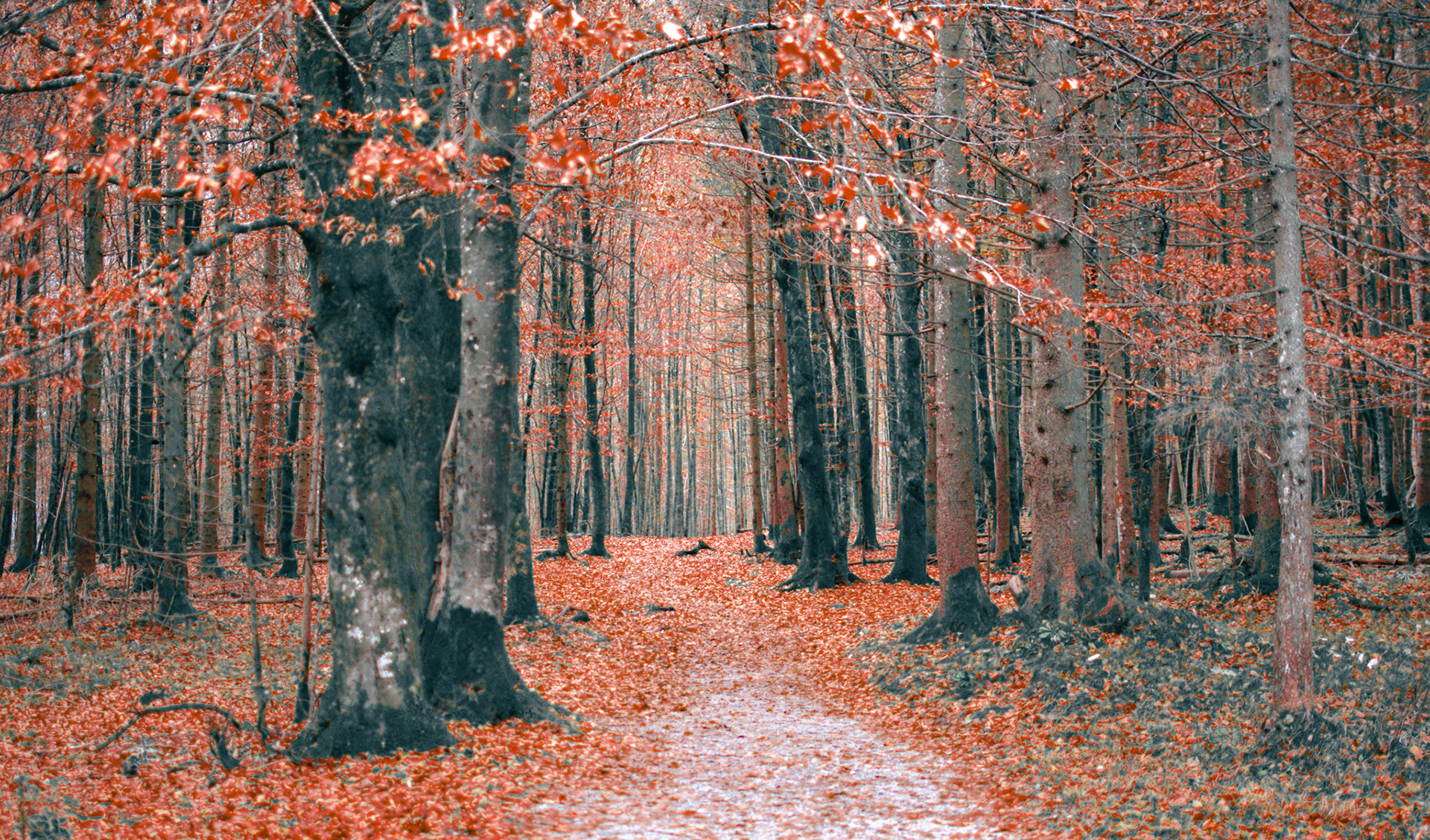 Königsee, Bavaria, Germany