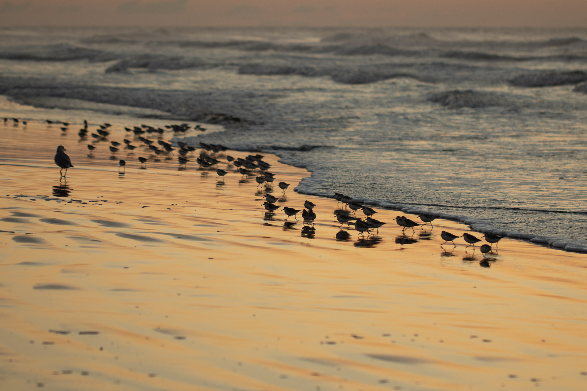 North Atlantic Coast, NJ