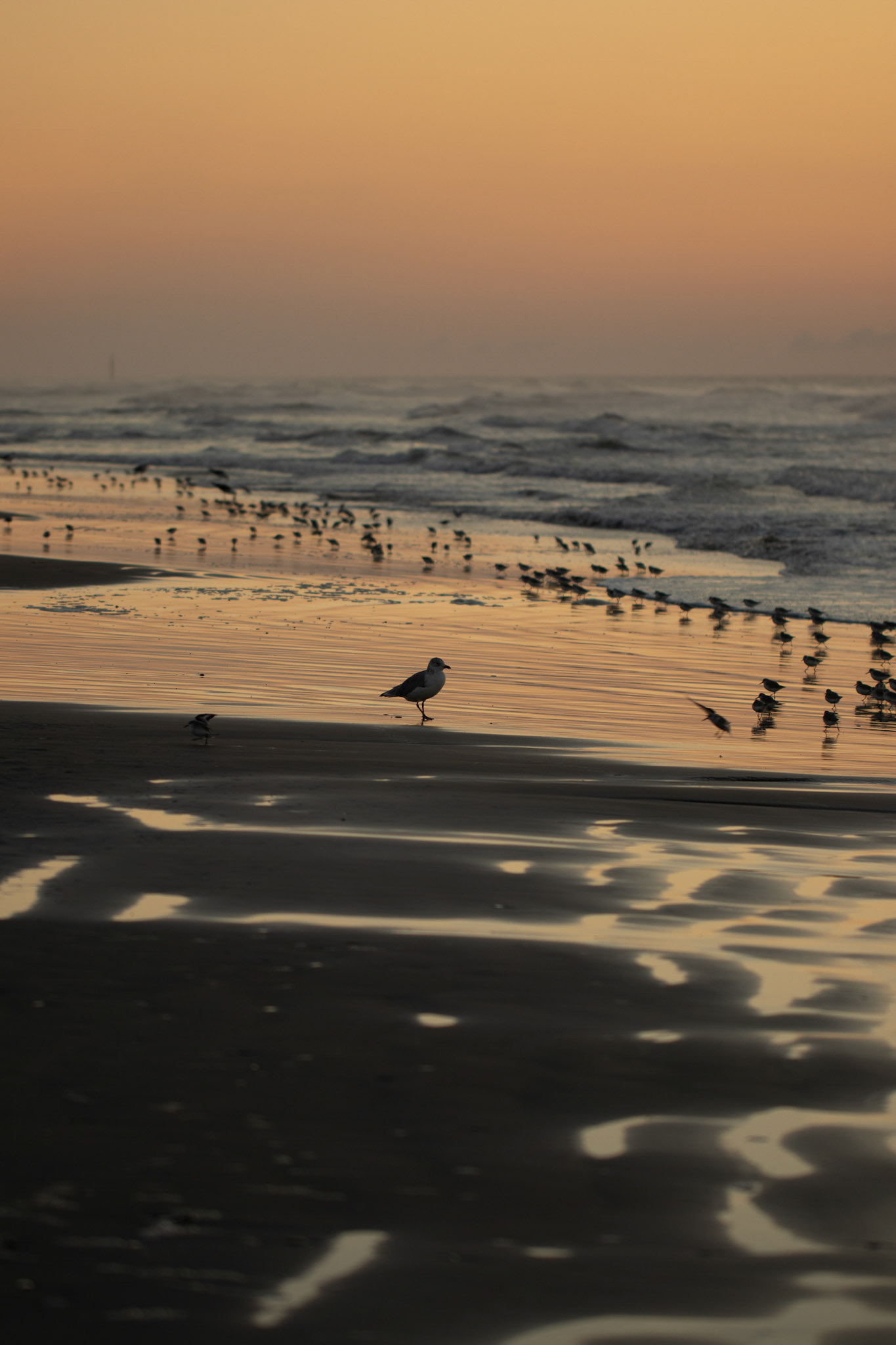 North Atlantic Coast, NJ