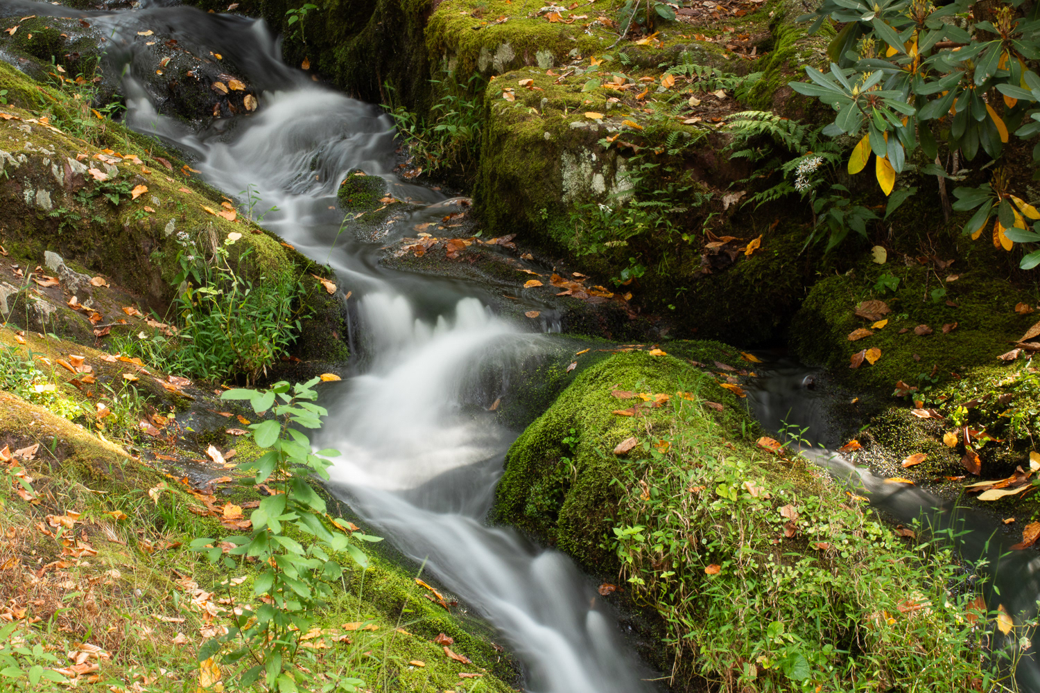 Delaware Watergap, NJ